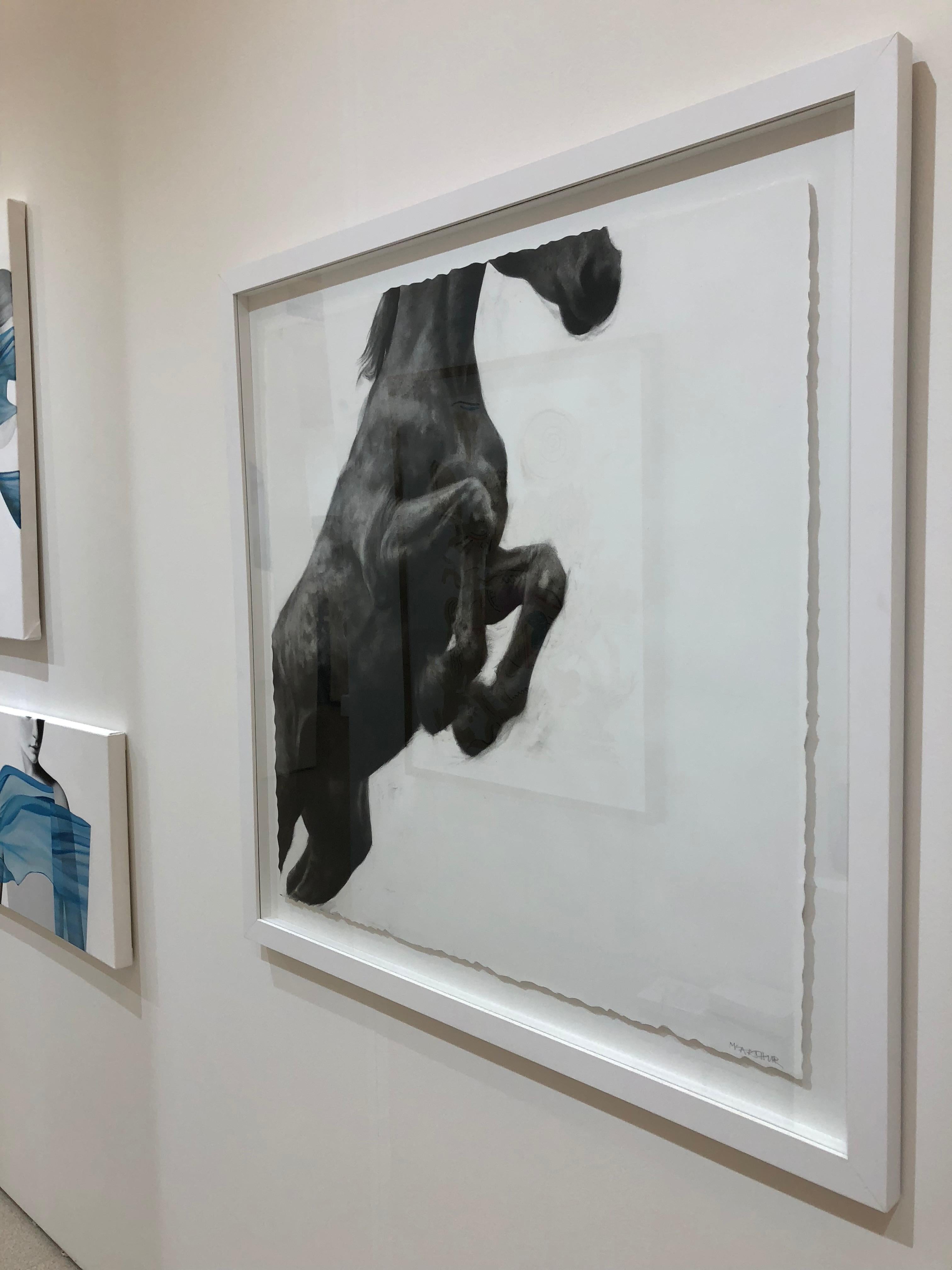Puissance, Pferdezeichnung, Kohle und Graphit auf Fabriano-Papier, weißer Rahmen (Realismus), Art, von Patsy McArthur