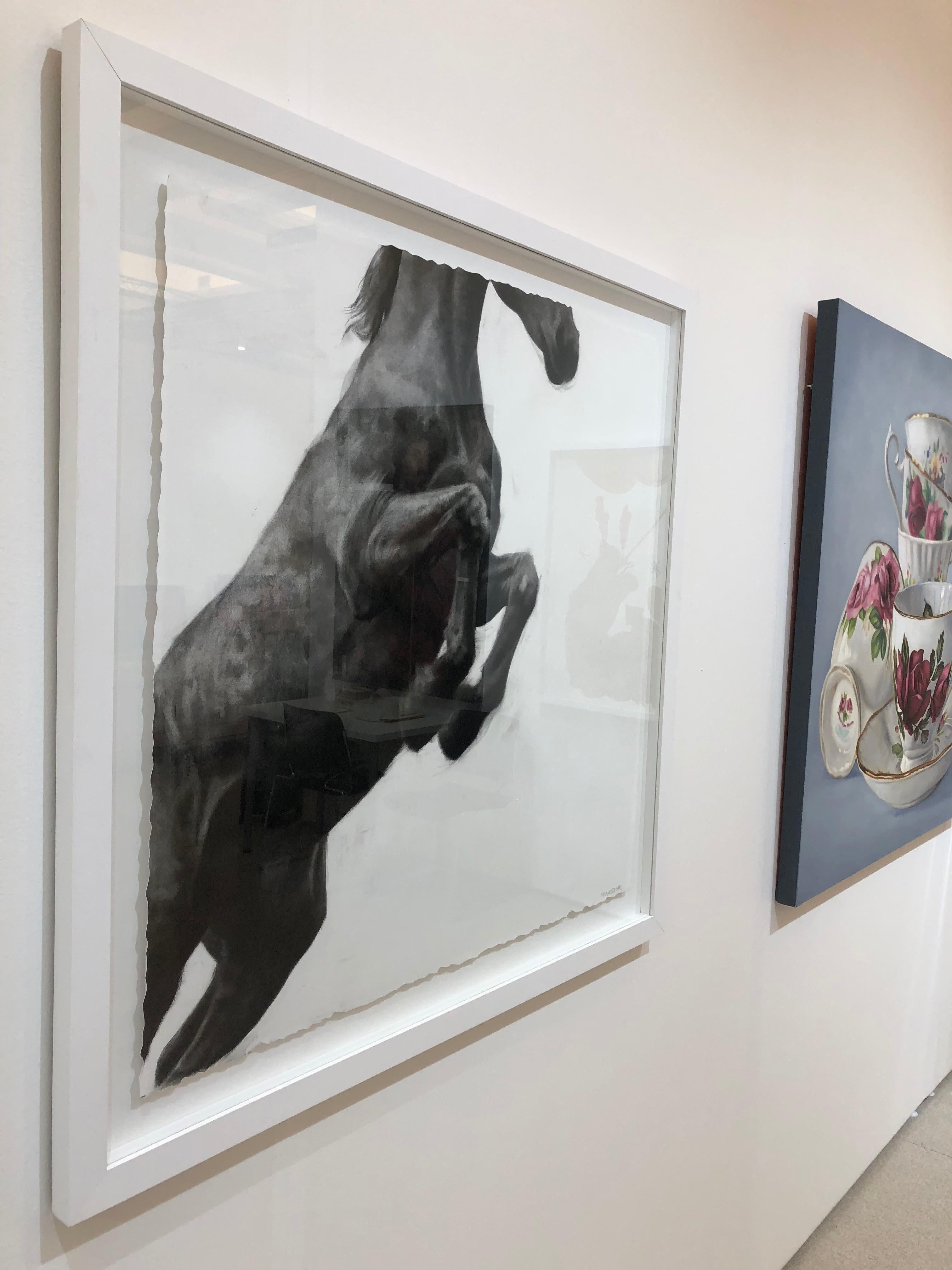 Puissance, Dibujo de caballo, Carboncillo y grafito sobre papel Fabriano, marco blanco - Figurative Art Gris de Patsy McArthur