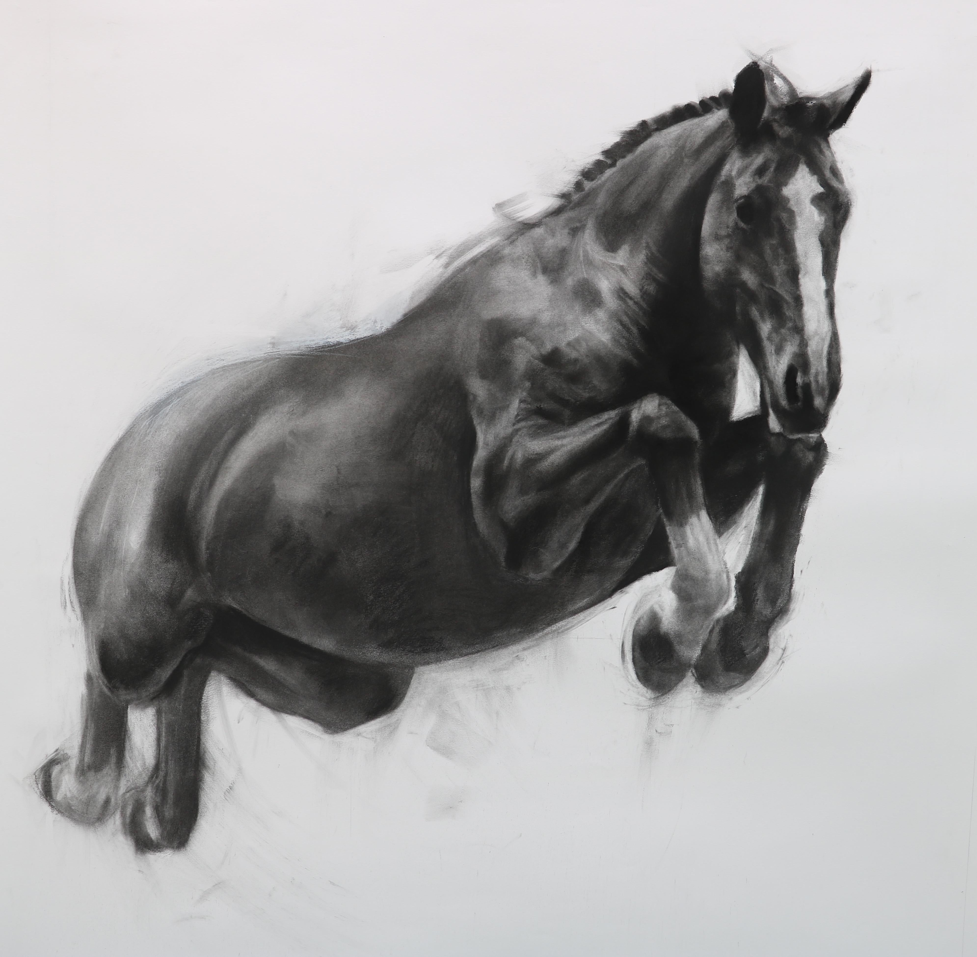 charcoal horse drawings