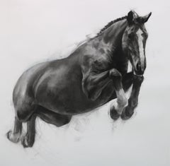 Over, Under, Sideways, Down by Patsy McArthur, running Horse, charcoal on paper