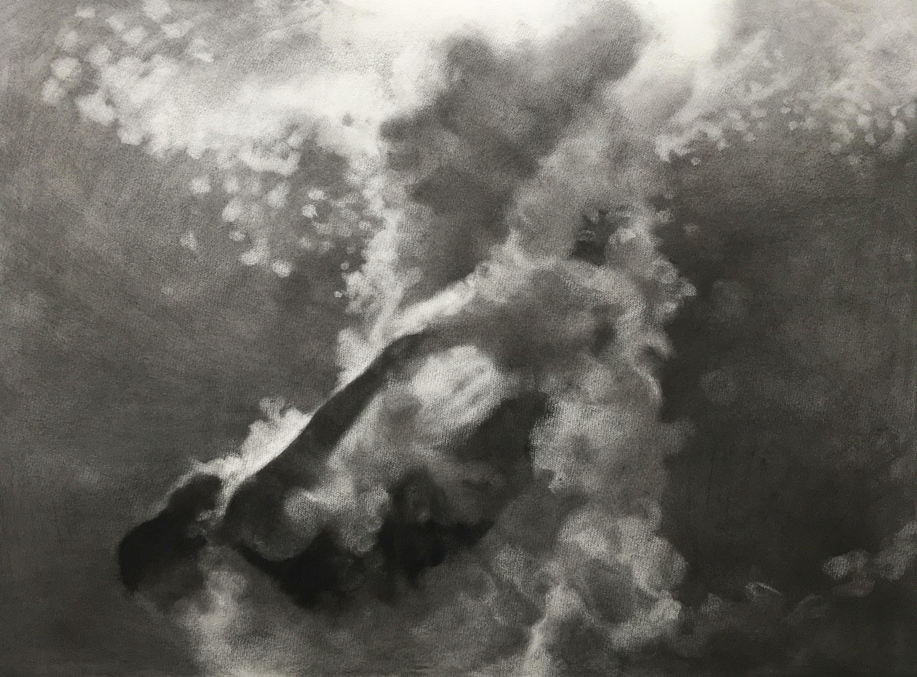 underwater charcoal drawing