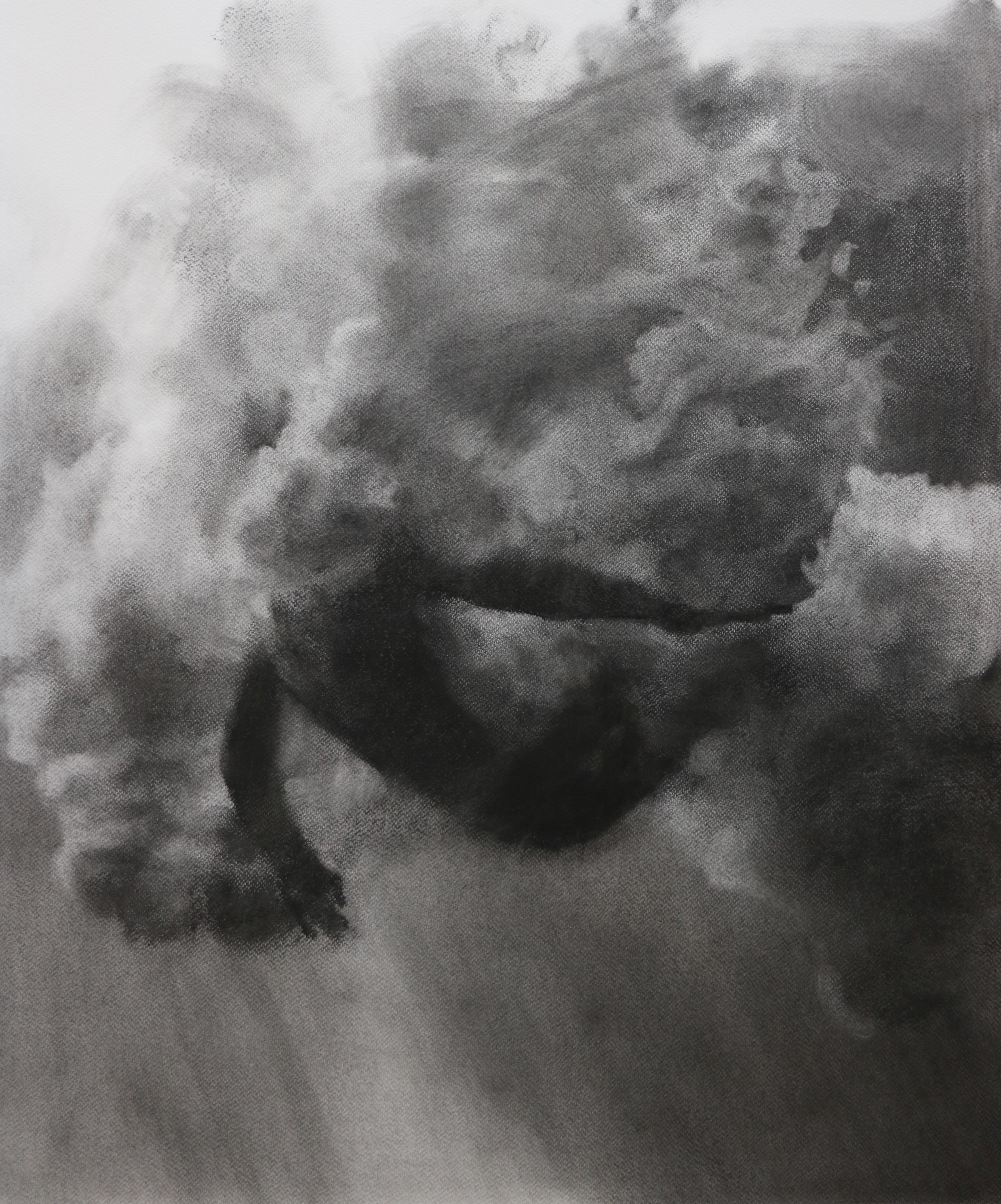 Plunge Series, Study V, realistic figurative charcoal on paper, underwater diver