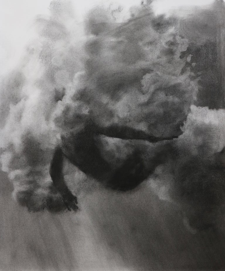 Patsy McArthur - Plunge Series, Study V, realistic figurative charcoal on paper, underwater diver For Sale at 1stDibs Patsy... 