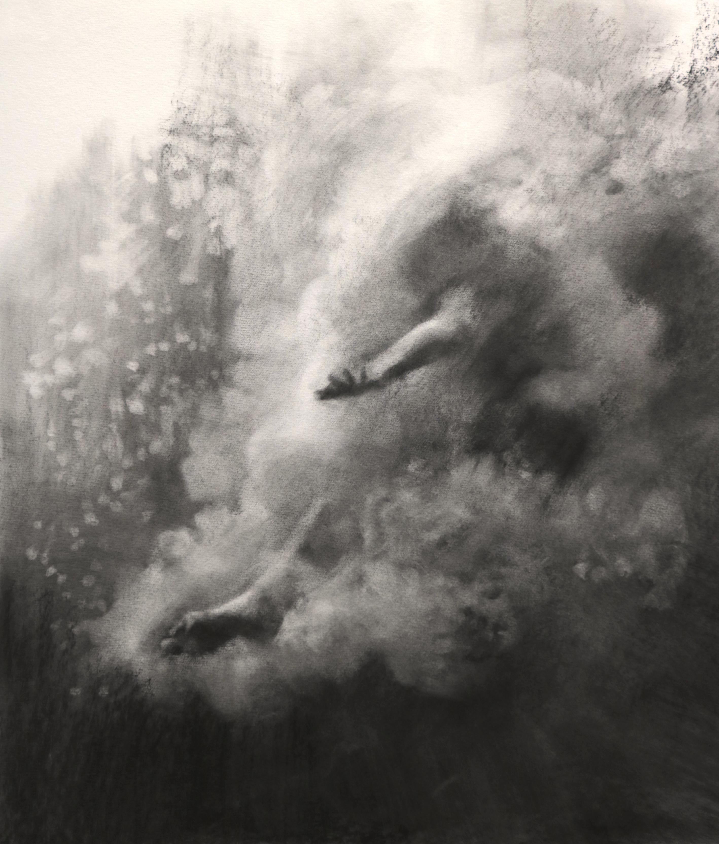 Plunge Series, Study VI realistic figurative charcoal on paper, underwater diver