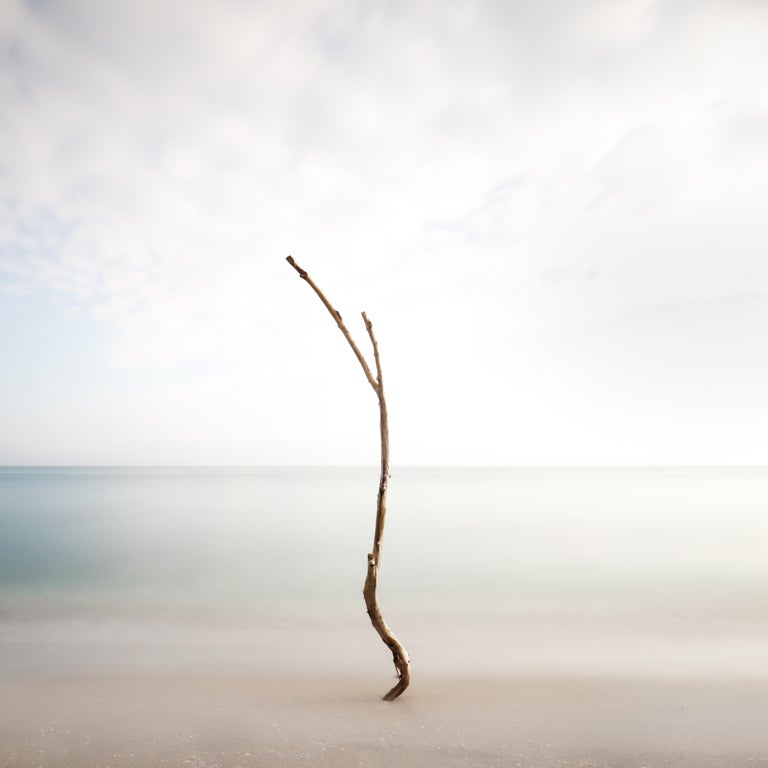 Keith Ramsdell Keith Ramsdell - Minimal Tree at Jupiter Island - Framed - Ltd Ed of 10 ...