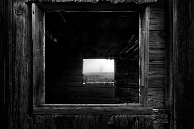 Matthew James Smith 27 Framed For Sale at 1stDibs