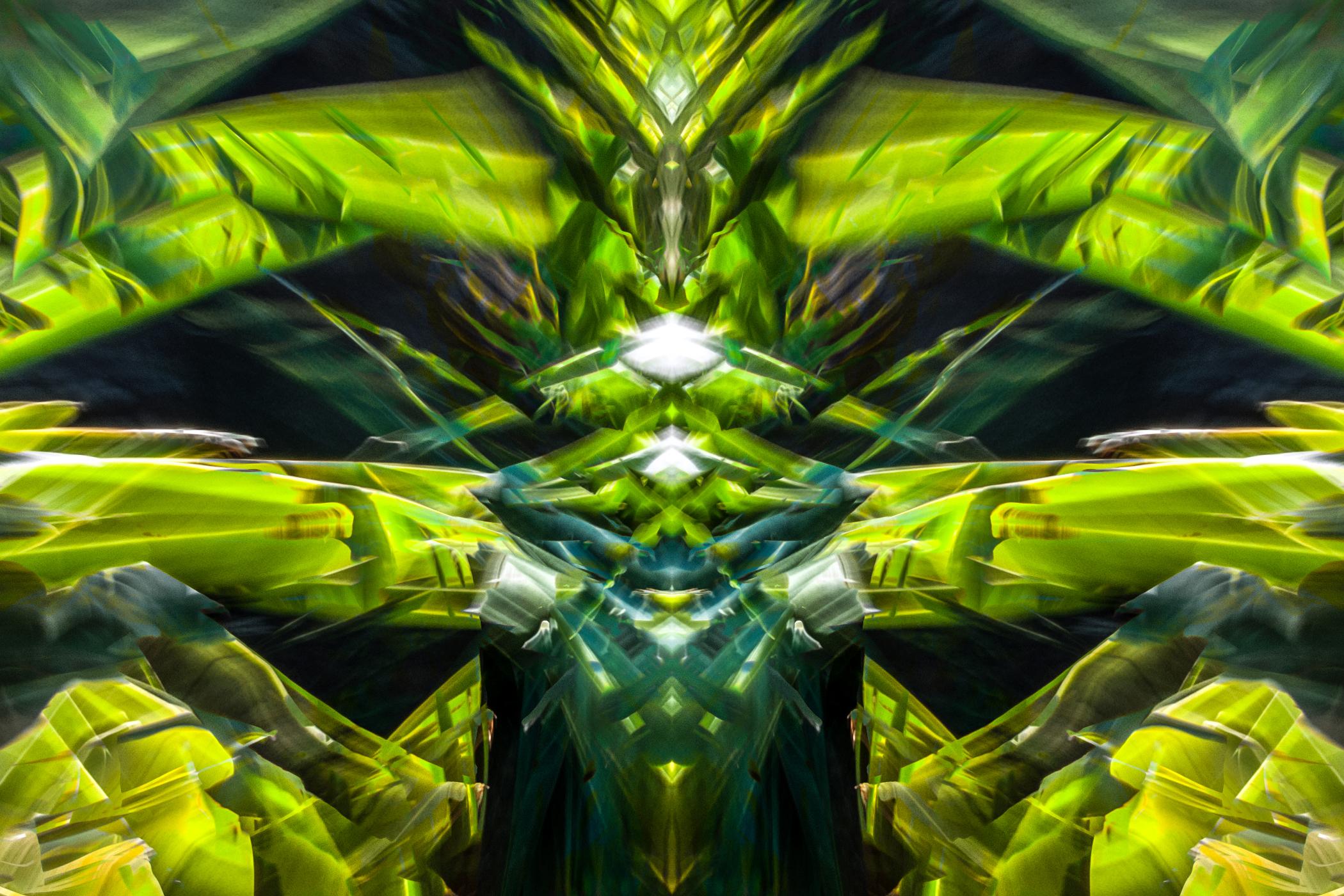 Spirit 02 - Green Abstract Photograph by Robin Thurel