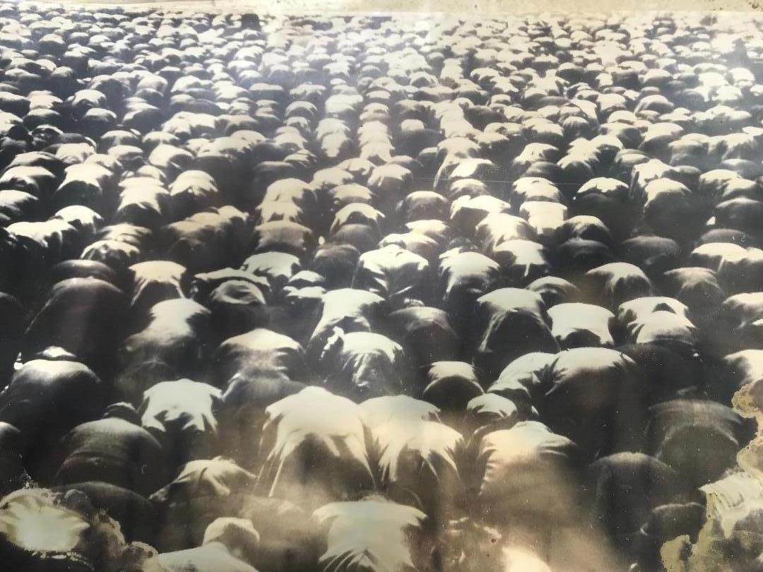 collection of 85 argentic photos - Photograph by gerard de villiers