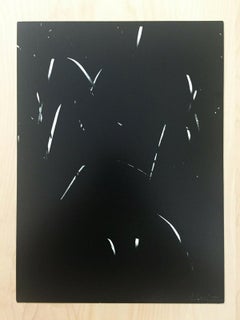 Lucien CLERGUE Geheime Camargue von 1976