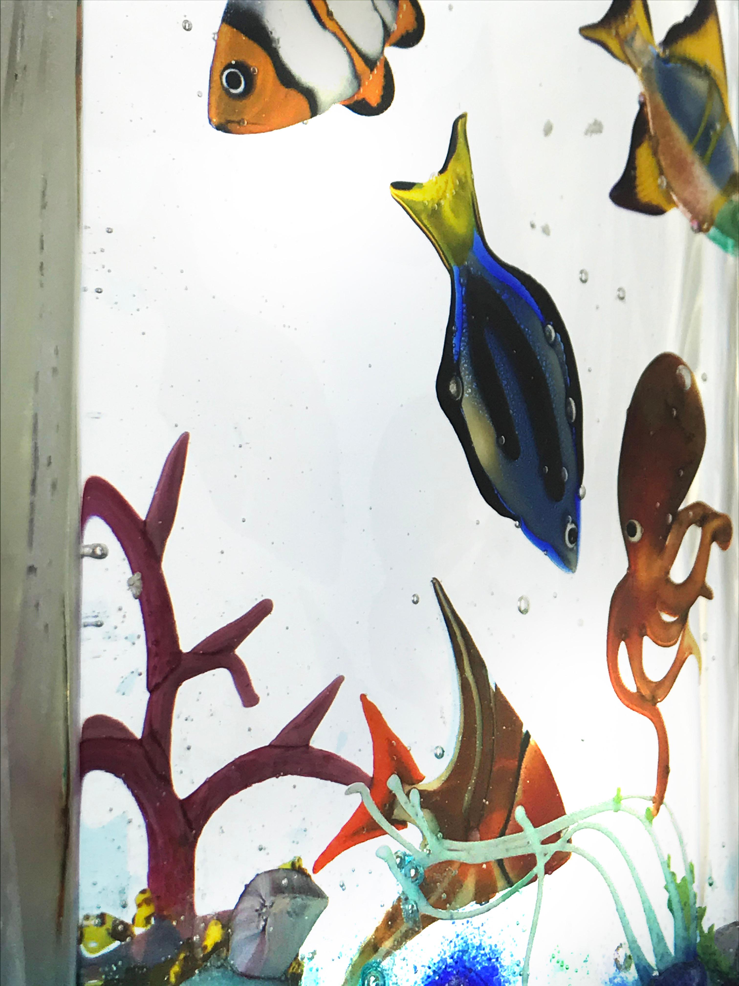 Acquario Terrestre in vendita 5