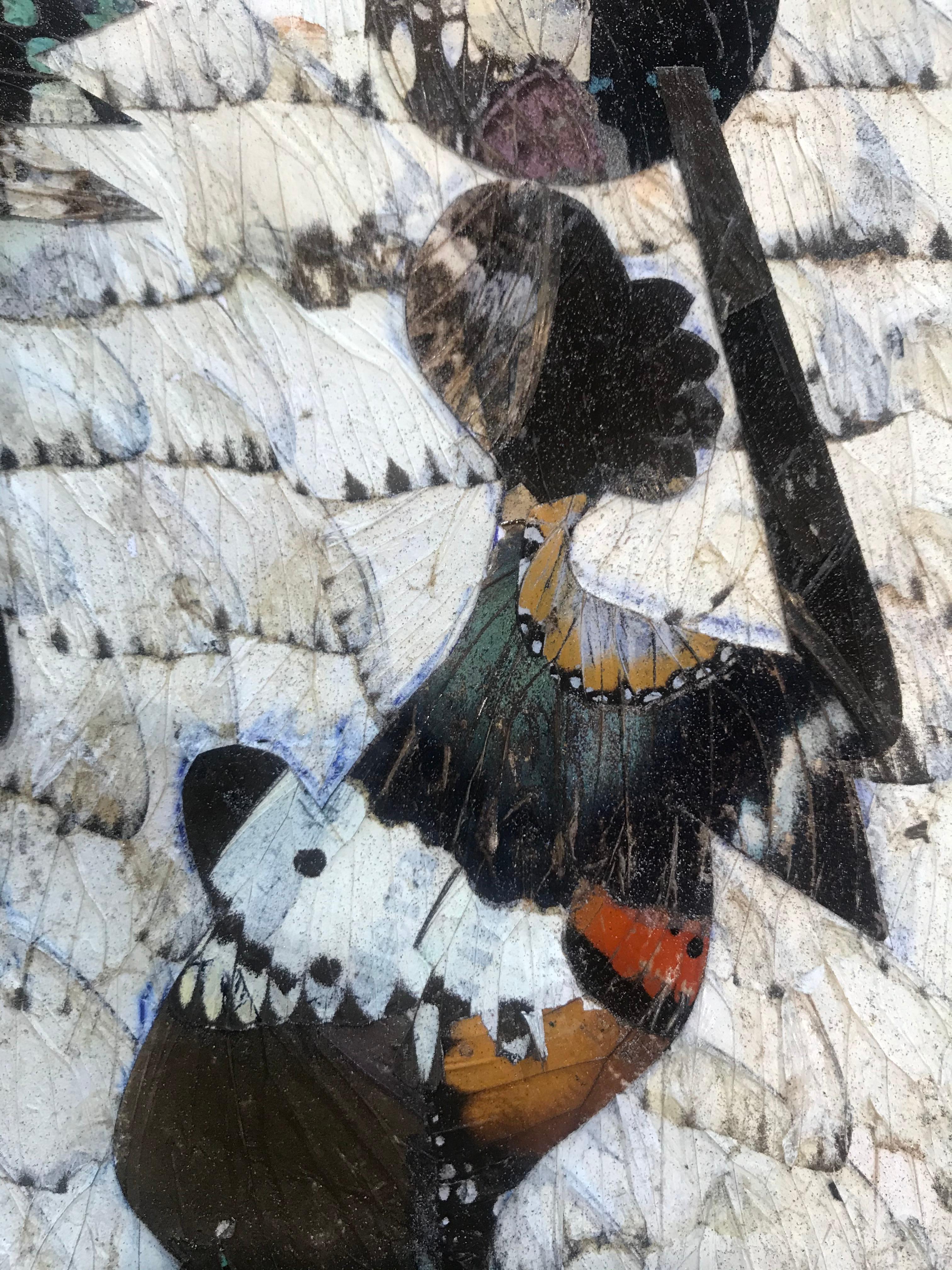 Moluh Seidou Precioso collage de alas de mariposa en venta 2