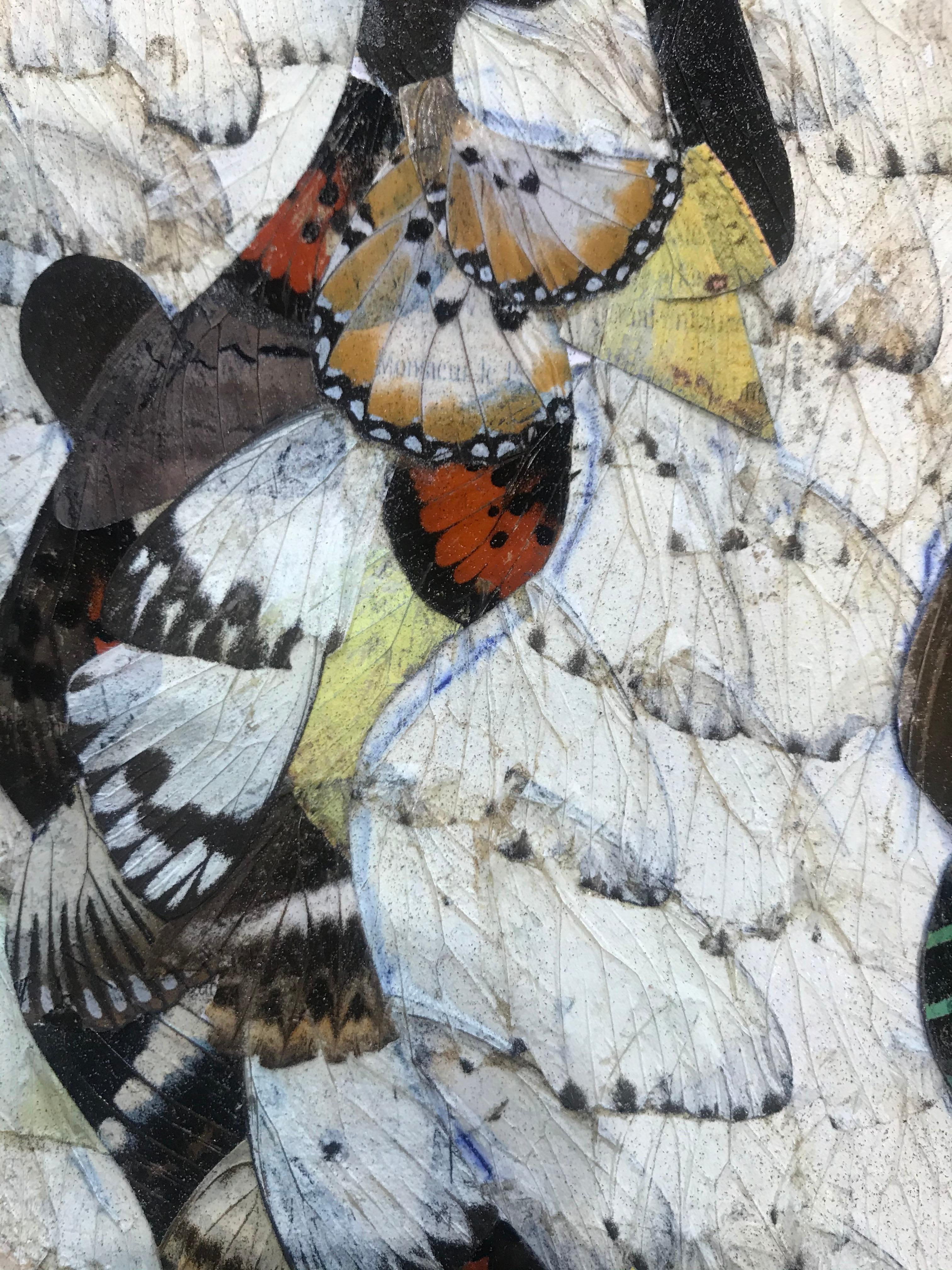 Moluh Seidou Precioso collage de alas de mariposa en venta 3