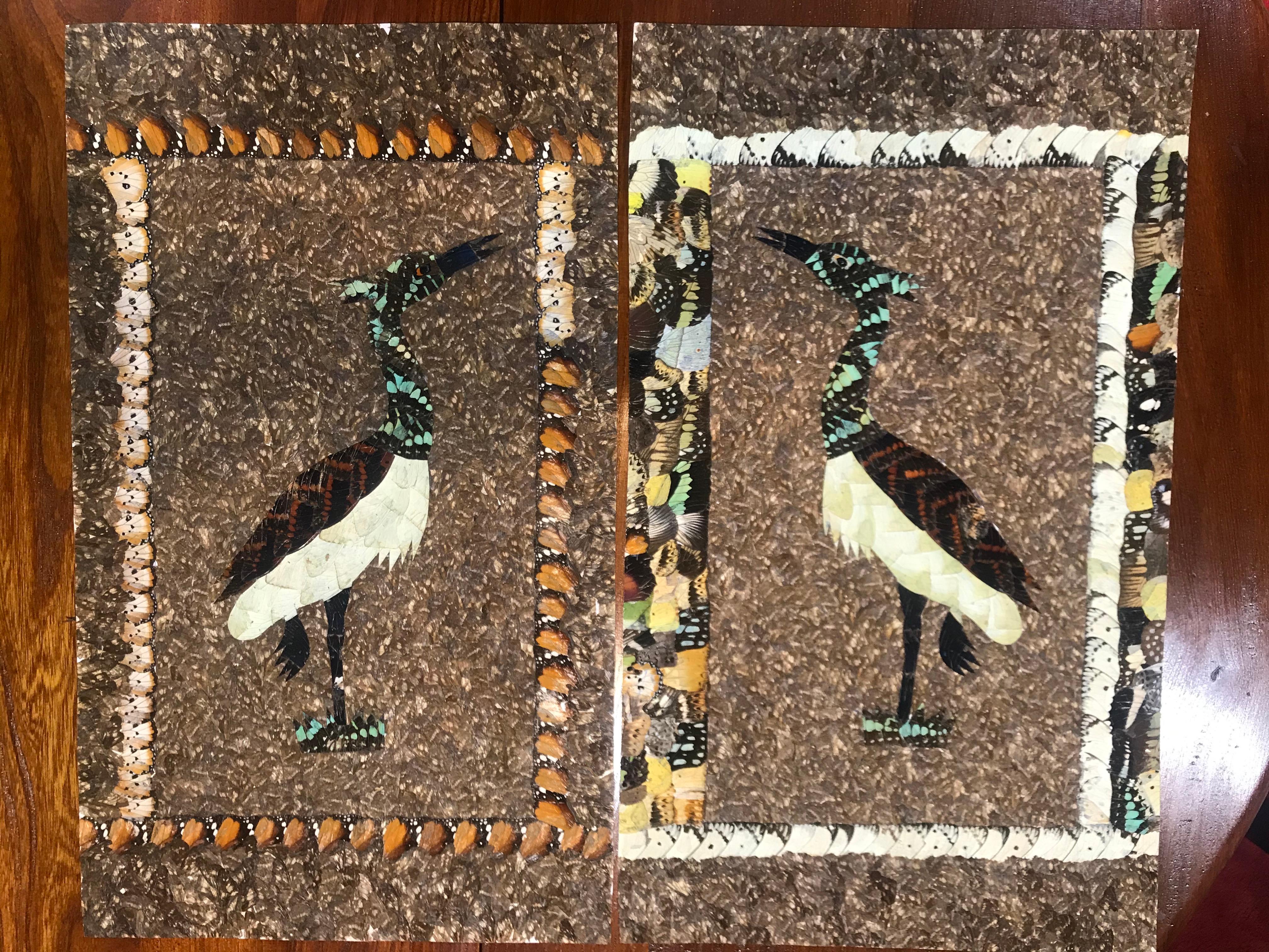 Moluh Seidou Bonito y precioso collage de alas de mariposa Dyptique aux aigrett en venta 1