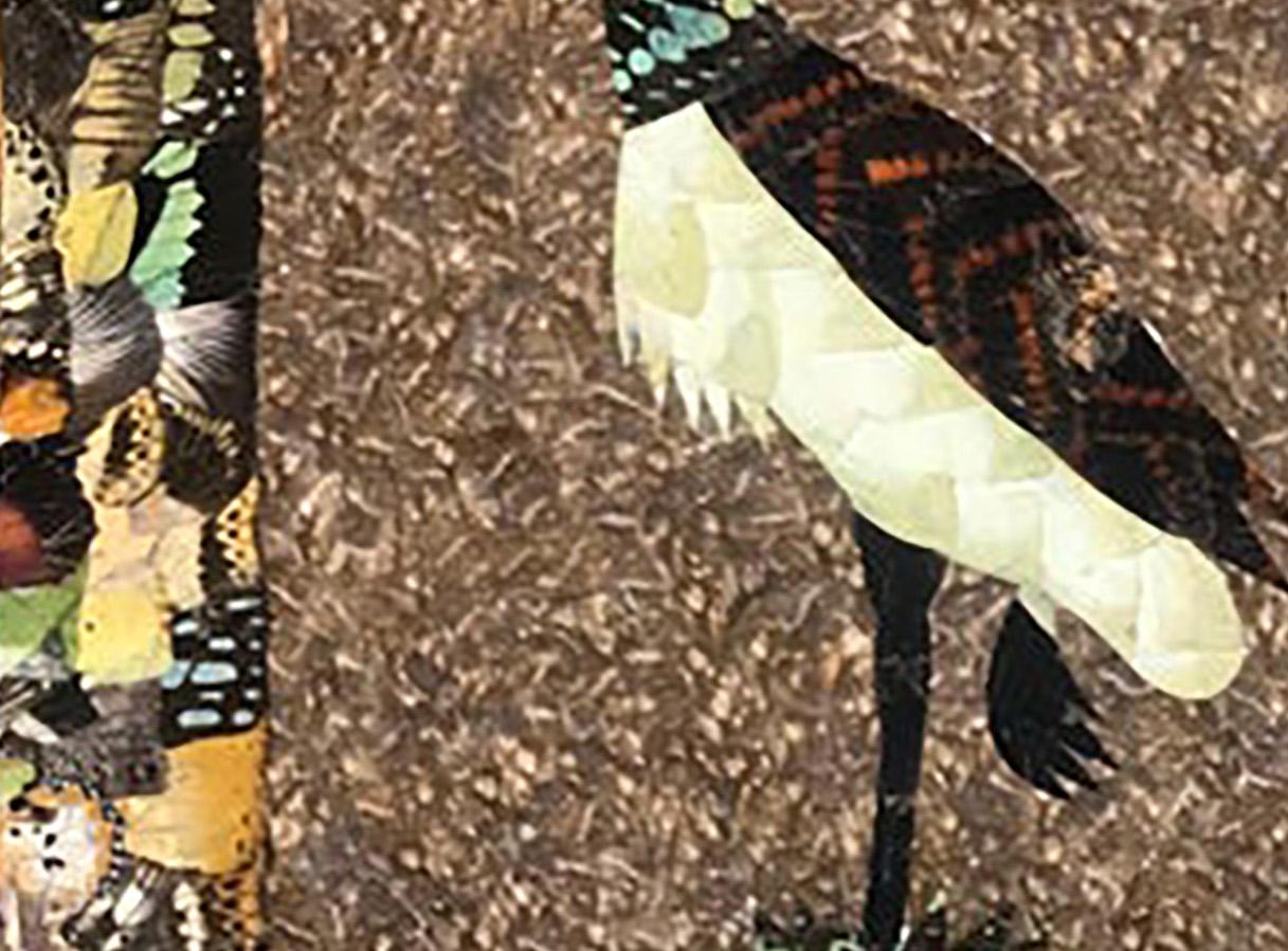 Moluh Seidou Bonito y precioso collage de alas de mariposa Dyptique aux aigrett en venta 3