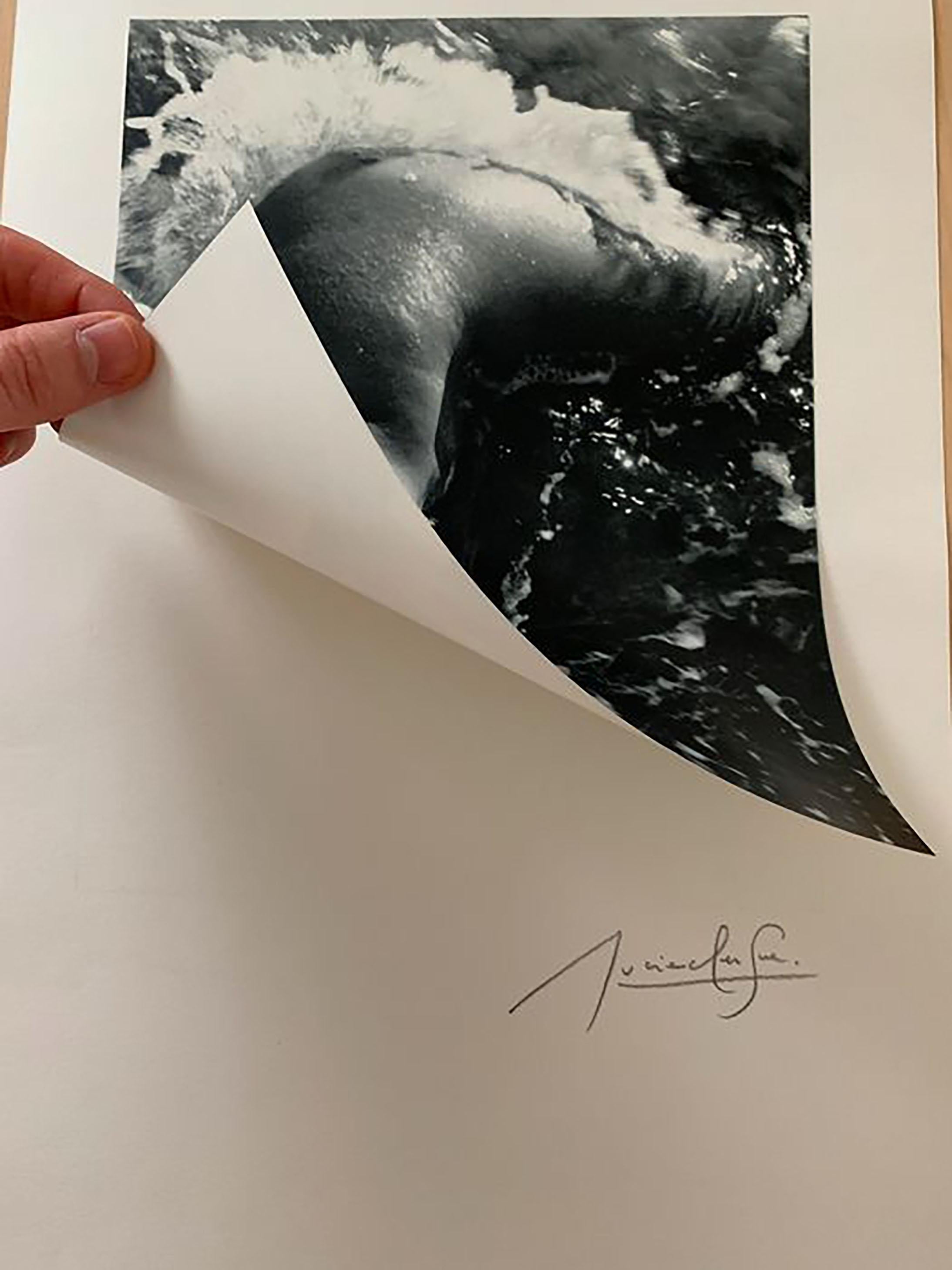 lucien clergue nee de la vague