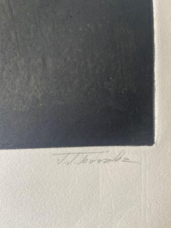 Juan Jose Torralba - Bodegan