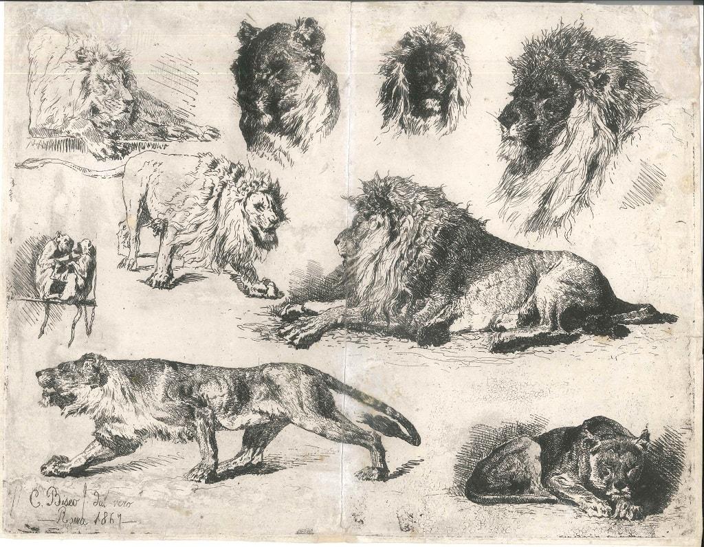 Lions is a wonderful etching and dry-point on paper by Cesare Biseo, with autograph inscription: "C. Biseo f. dal vero - Roma 1869".
In very good conditions, except for a medial rip with a sign of restoration, and some usual minor stains. 
Original