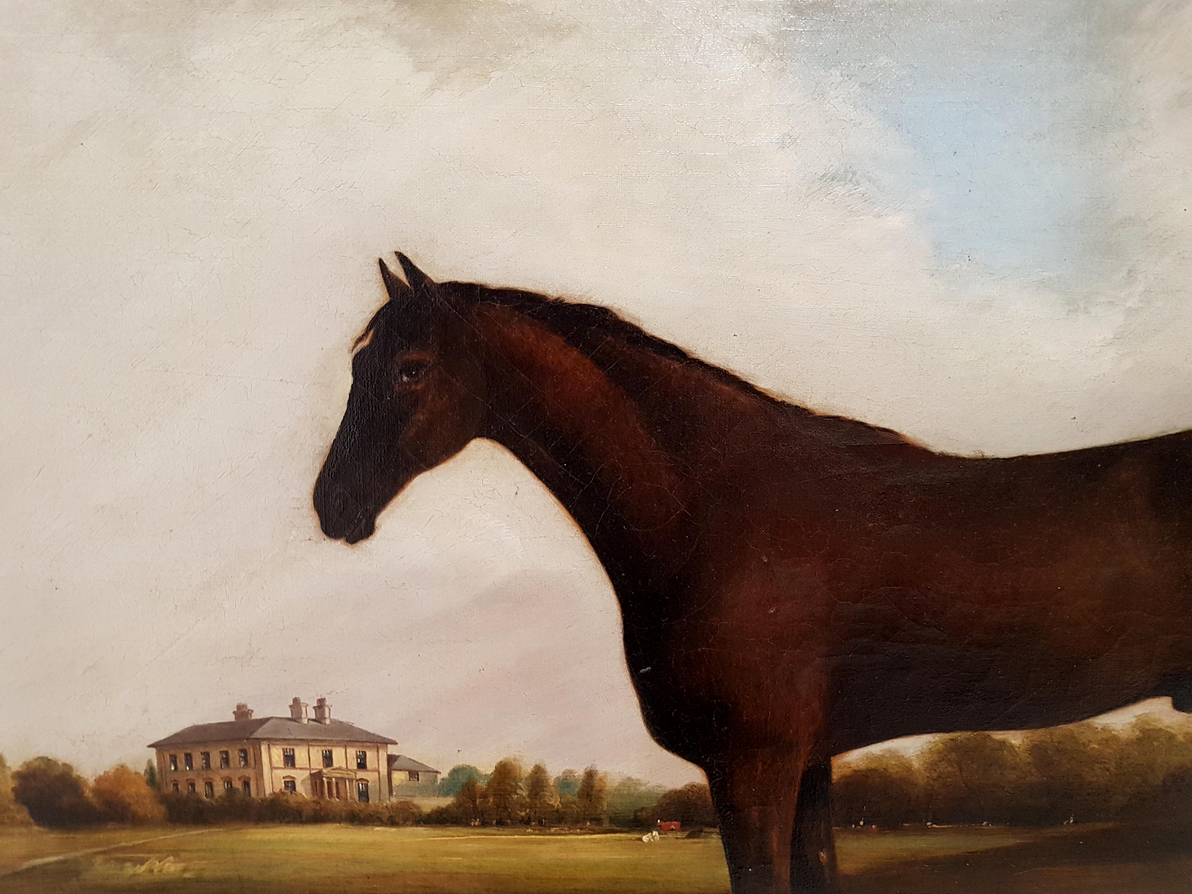 Thoroughbred Horse in the English Countryside - Oil on Canvas - 1847 1