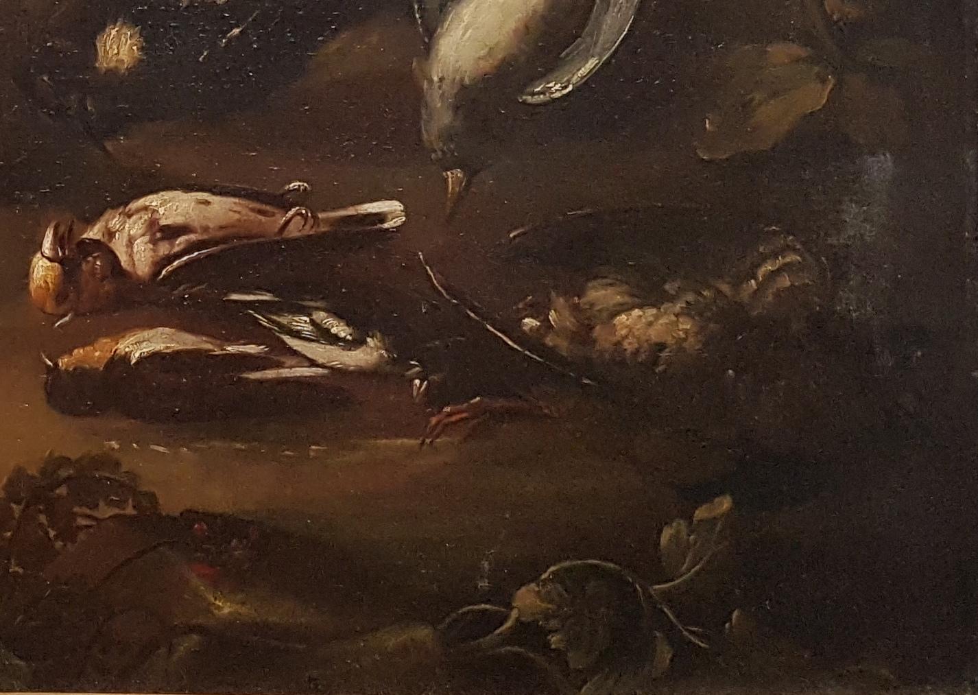 Still Life with Game Bag, Hare and Birds - Oil on Canvas Neapolitan Sch. - 1700 4