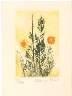 Vintage Delicate Flowers - Etching by Georges Vial - Mid 1900