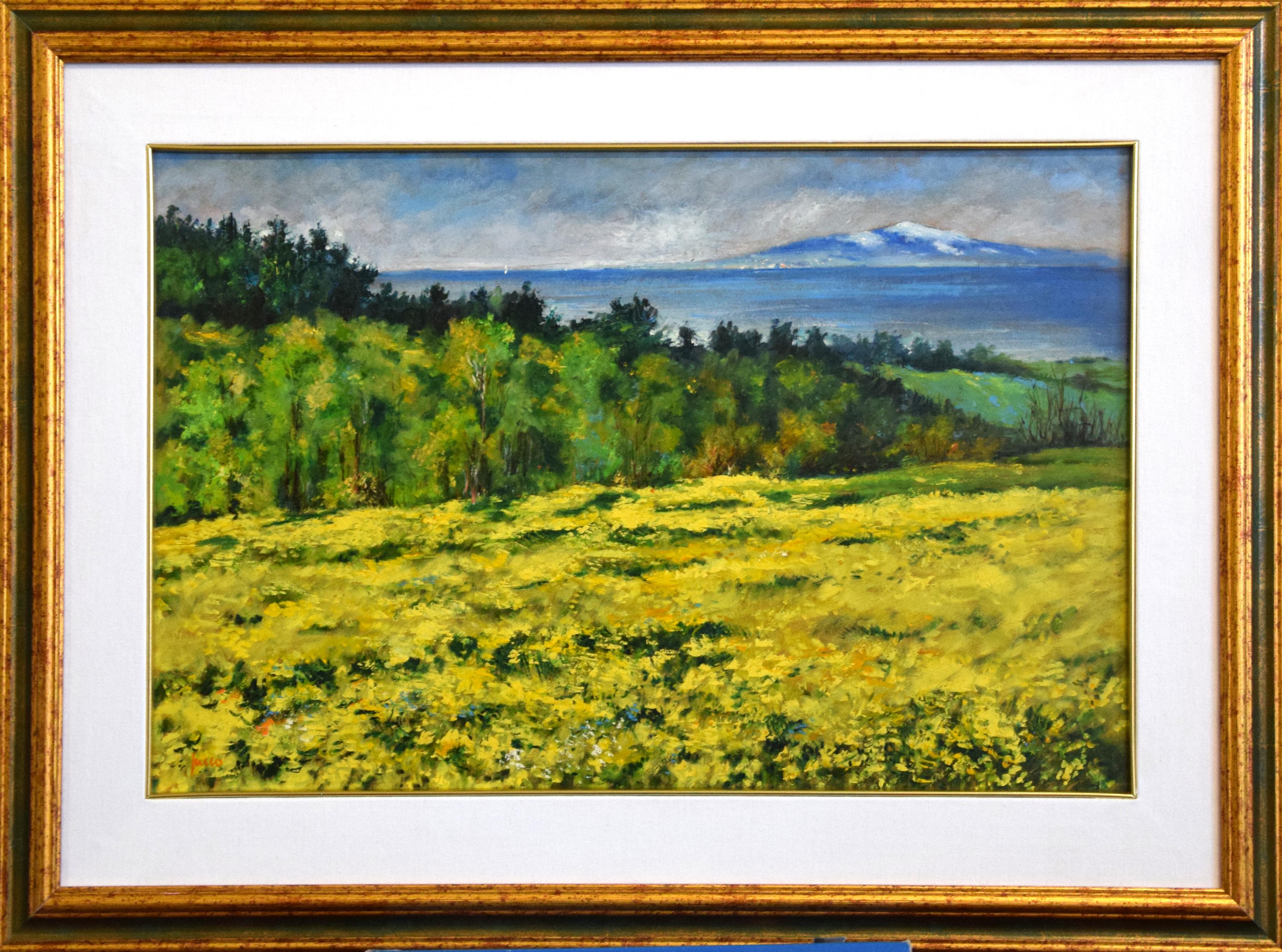 L'Etna Vista Dalla Sila is a pleasing oil painting on masonite realized by the Italian contemporary artist Luciano Sacco. Including a frame (58 x 78 cm). Hand-signed by the artist on the lower left. 

Reference: Luciano Sacco, I colori della natura,
