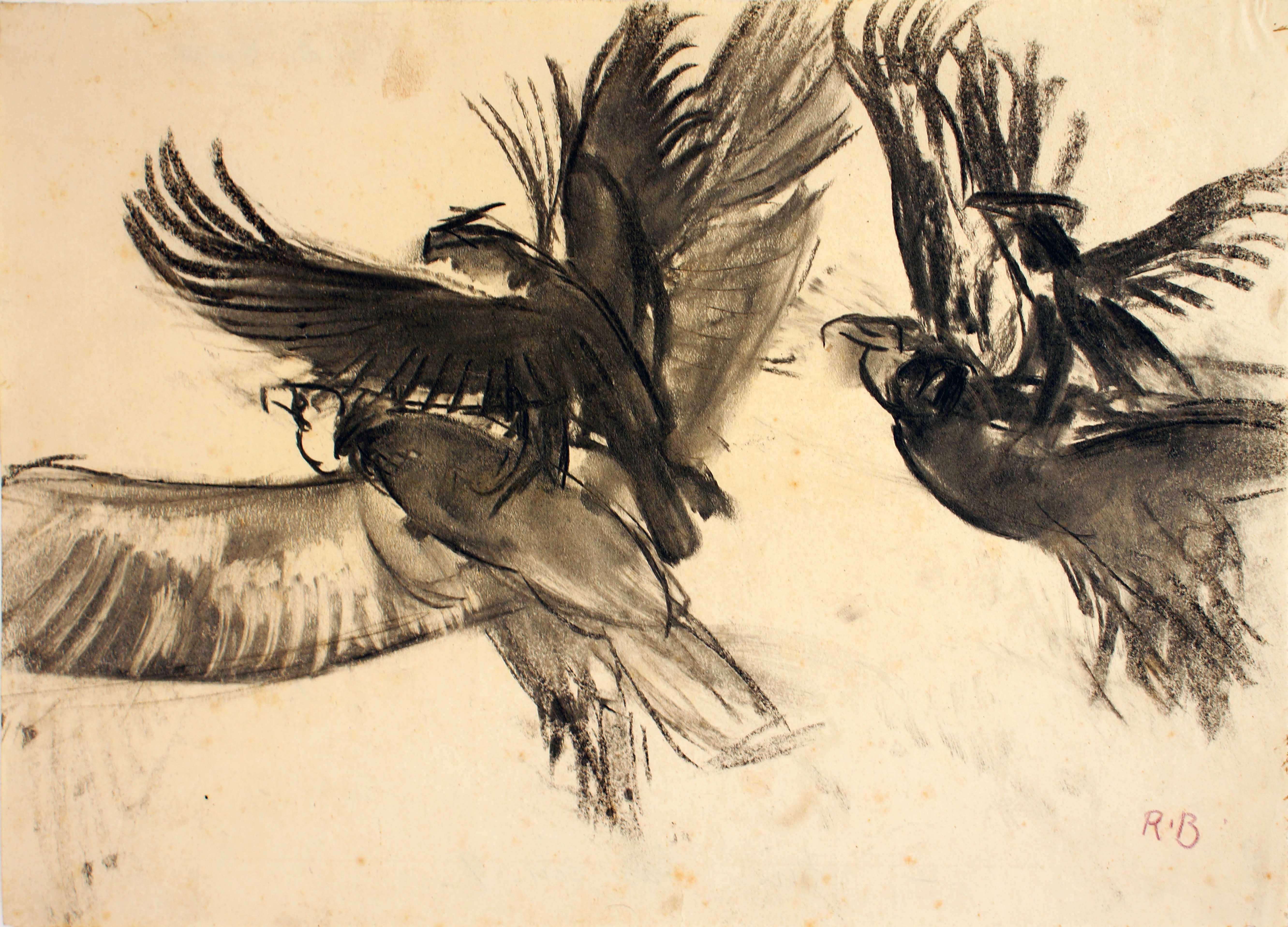 Vultures - Original Charcoal Drawing by Renato Brozzi - Early 1900