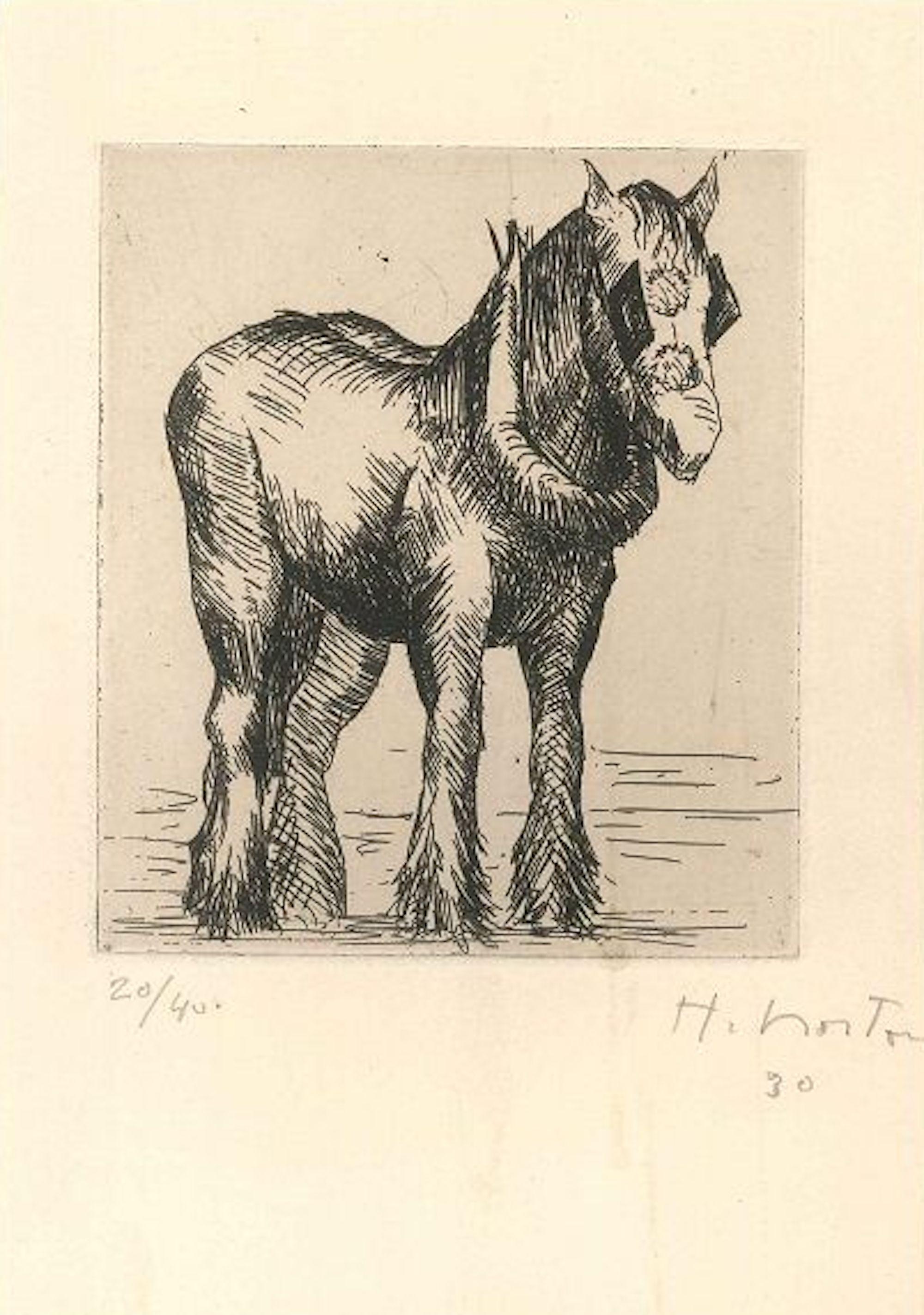 Pferdepferd - Original Drypoint von Helen Norton - 1930