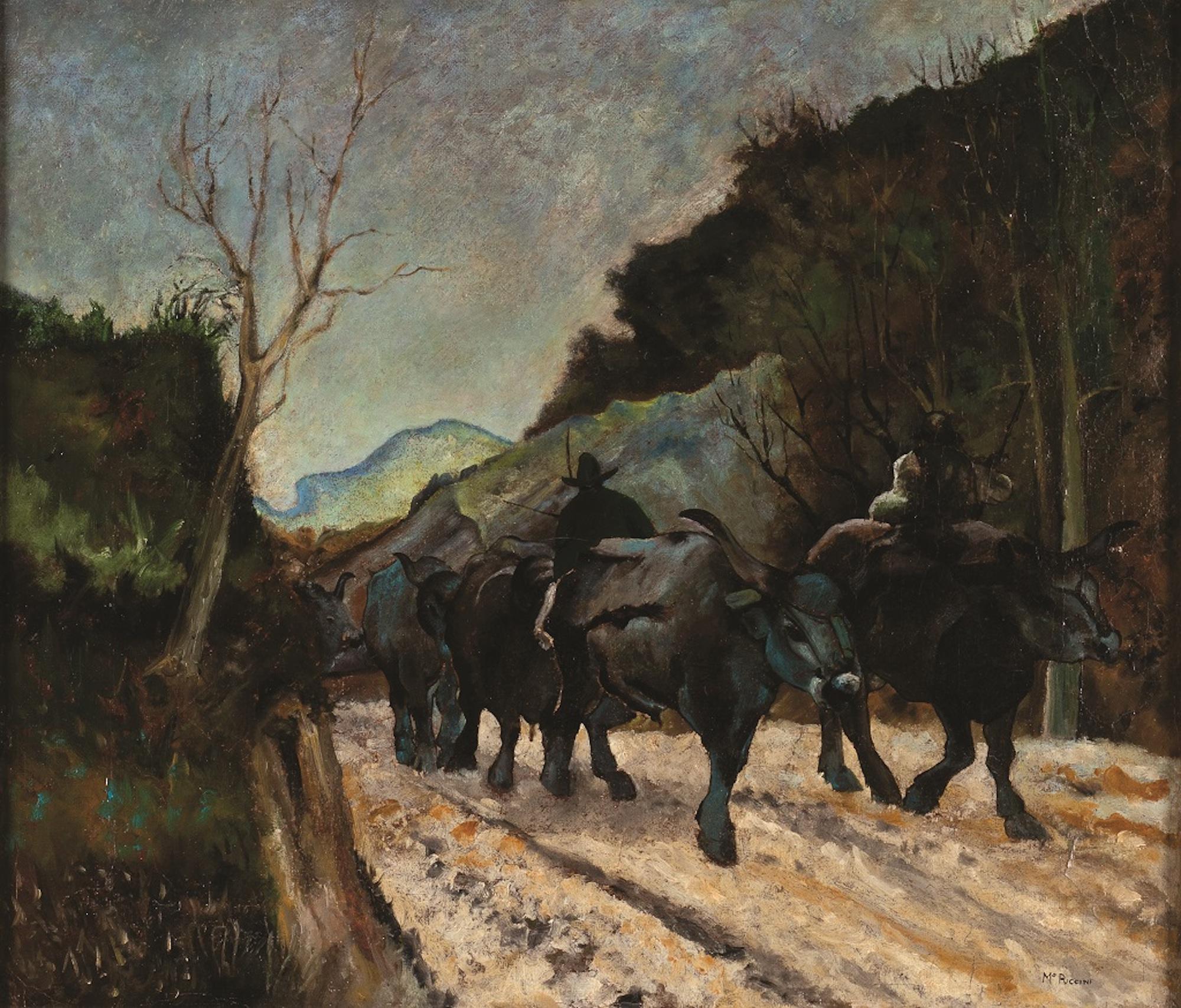 The Cart and the Oxen is an original artwork realized by the artist Mario Puccini in the beginning of the XX Century.

Original oil on canvas. 

Hand-signed by the artist on the lower right: Mo. Puccini.

Frame included. 

Very good conditions.