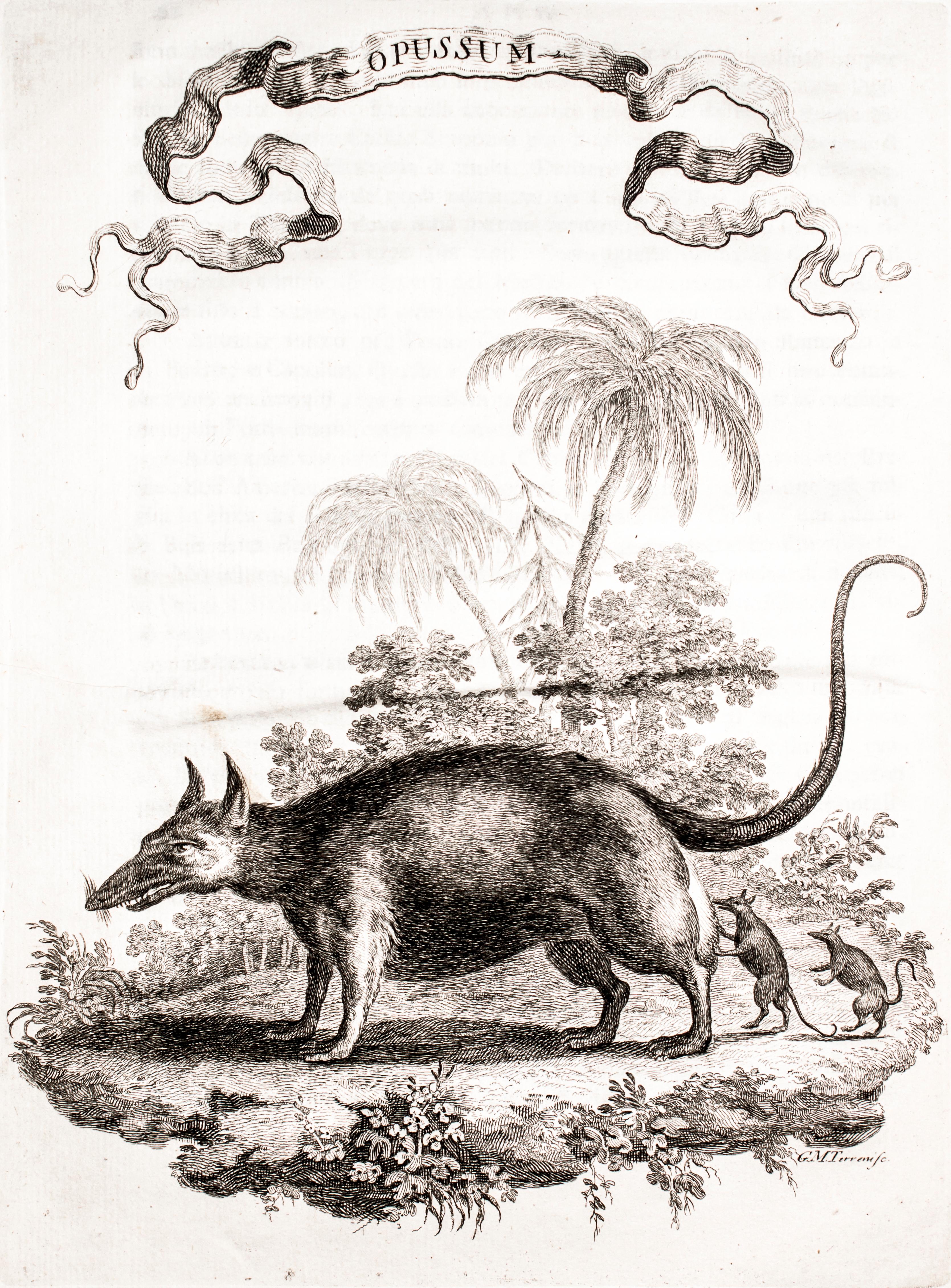 Il Gazzettiere Americano – Antikes illustriertes Buch über die Amerikas – 1763 im Angebot 2