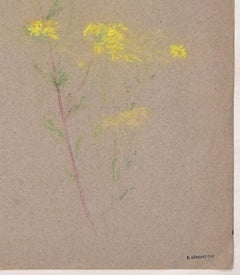 Mimosa Flower - Colored Pastel on fabric by E.-E. Duc - Late 19th Century