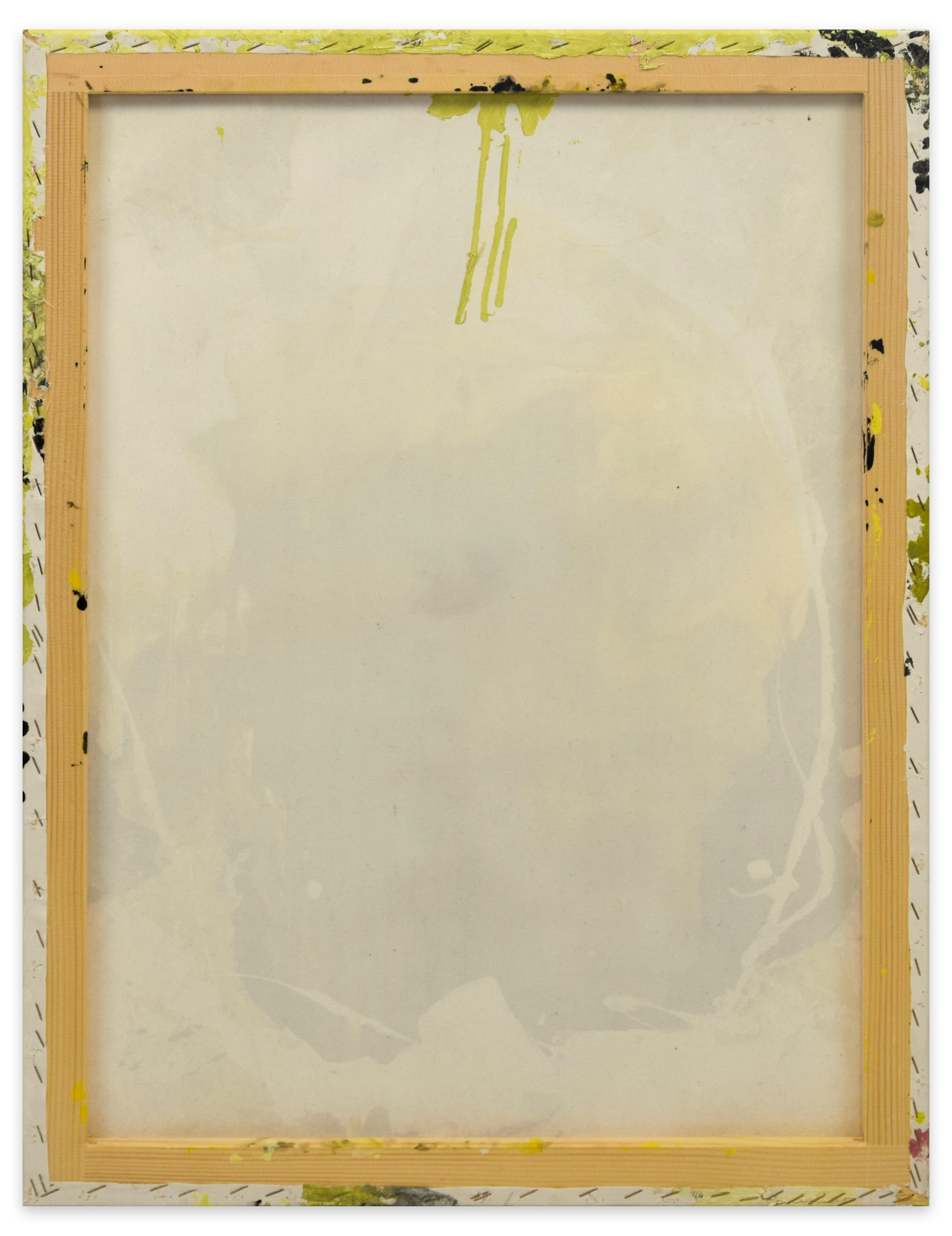 Nacimiento Del Vuelo - Acrílico sobre lienzo por Elena Ksanti - 2019 en venta 2