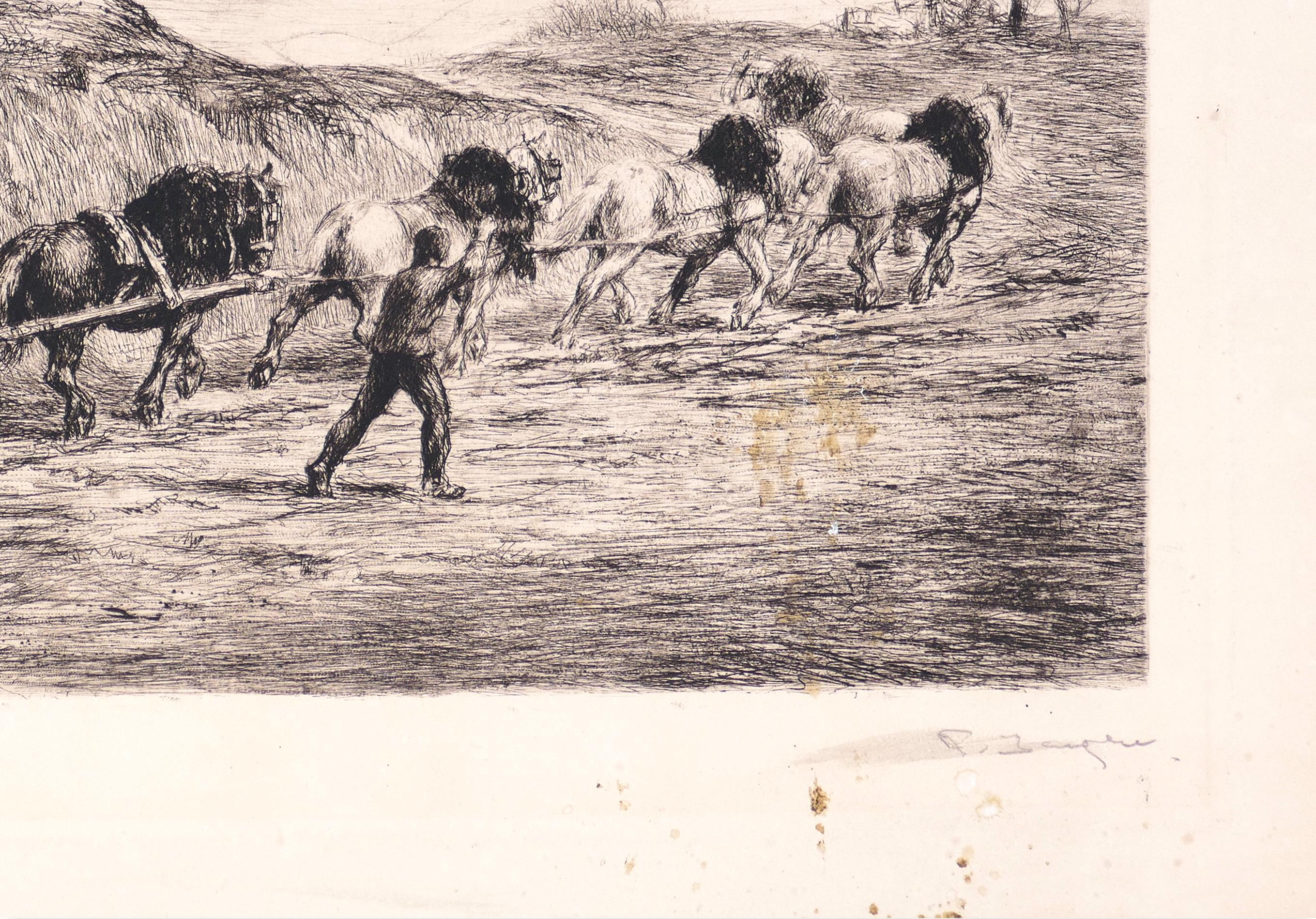 Horse Team - Original Etching by F. Jacque - Late 19th Century - Print by Frédéric Jacque