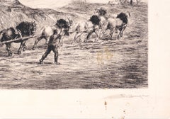 Horse Team - Etching by F. Jacque - Late 19th Century