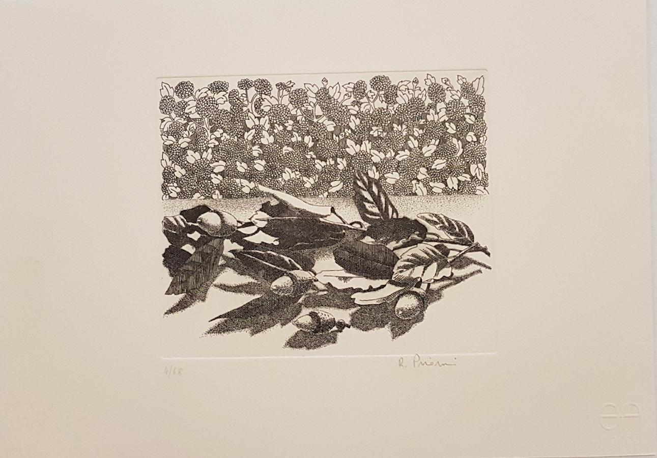 In the Nature - Eau-forte originale de R. Piraino - 1970