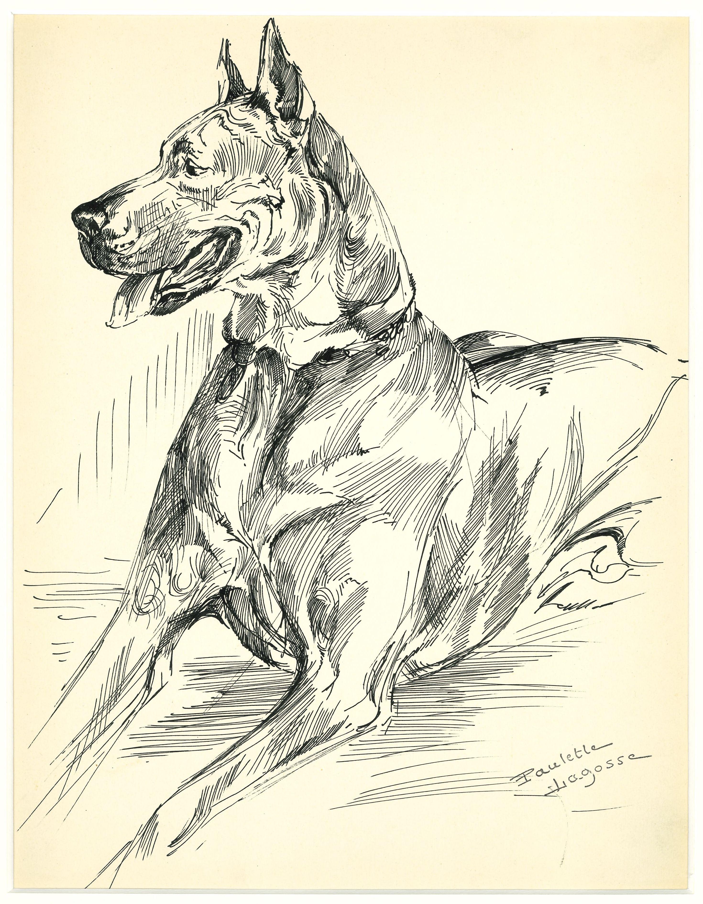 Marie-Paulette Lagosse Animal Art - Dog - Original China Ink Drawing by M.-P- Lagosse - Late 20th Century