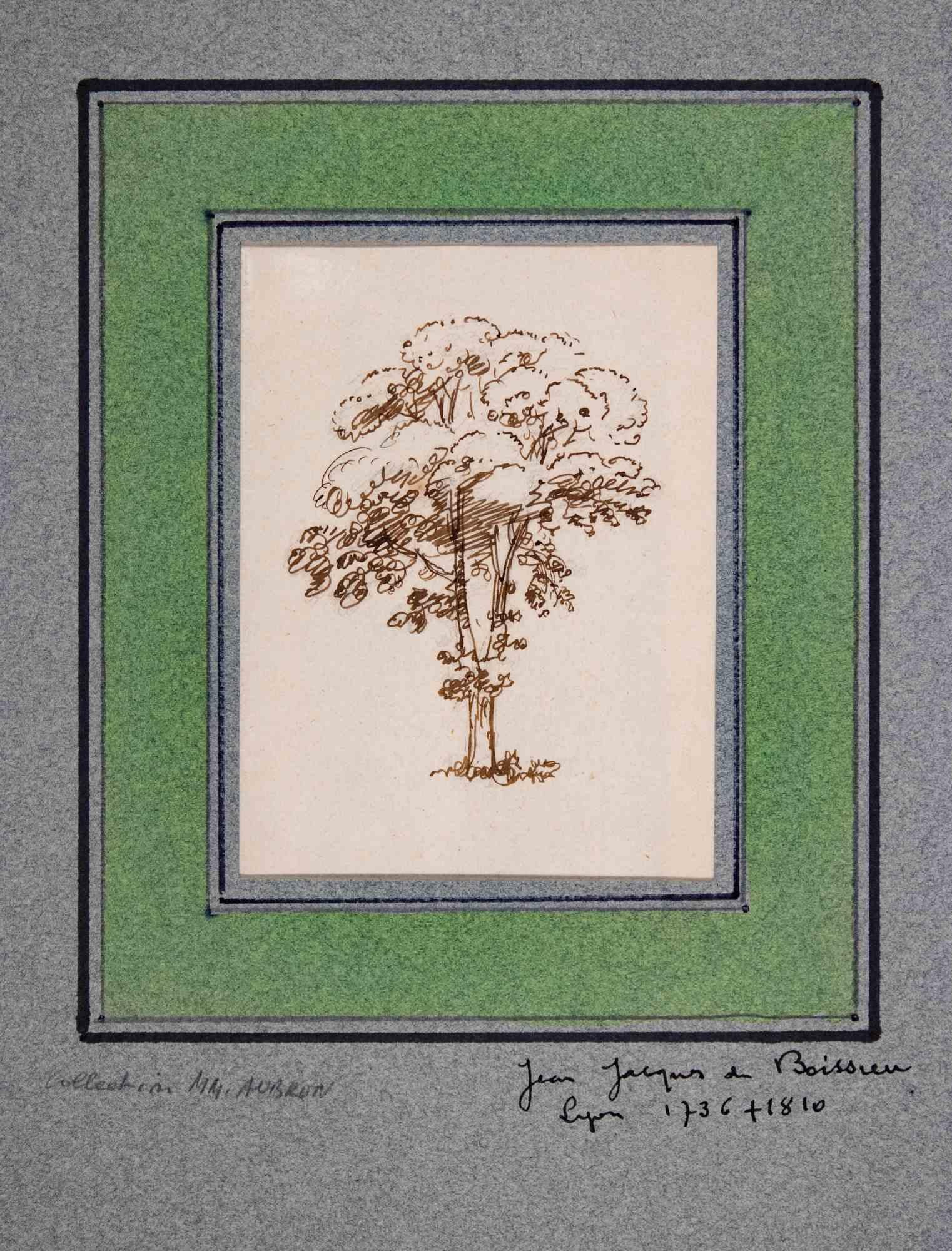 Sketch of a Tree is a beautiful artwork, pencil and brown ink on paper, realized at the end of the 18th century by the French artist Jean-Jacques de Boissieu (Lyon, 1736 - 1810).
Hand Signed on the back on  the lower margin. Passpartout cm