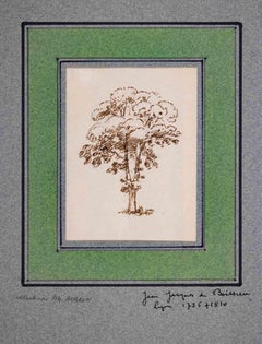 Tree - Original Drawing by Jean-Jacques de Boissieu - Late 18th century