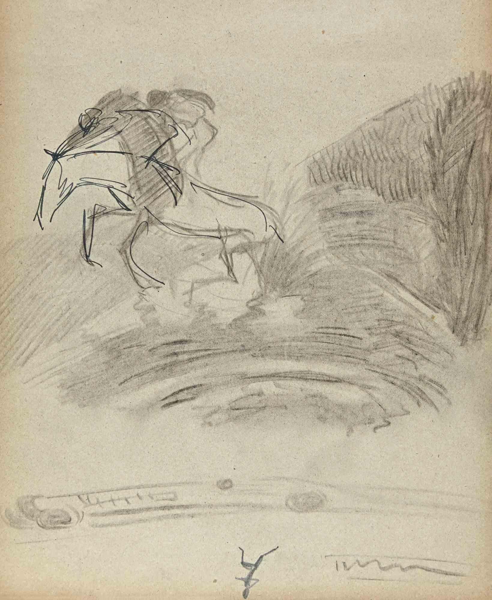Le cheval chevauchant dans la prairie - dessin de Norbert Meyre - milieu du 20e siècle