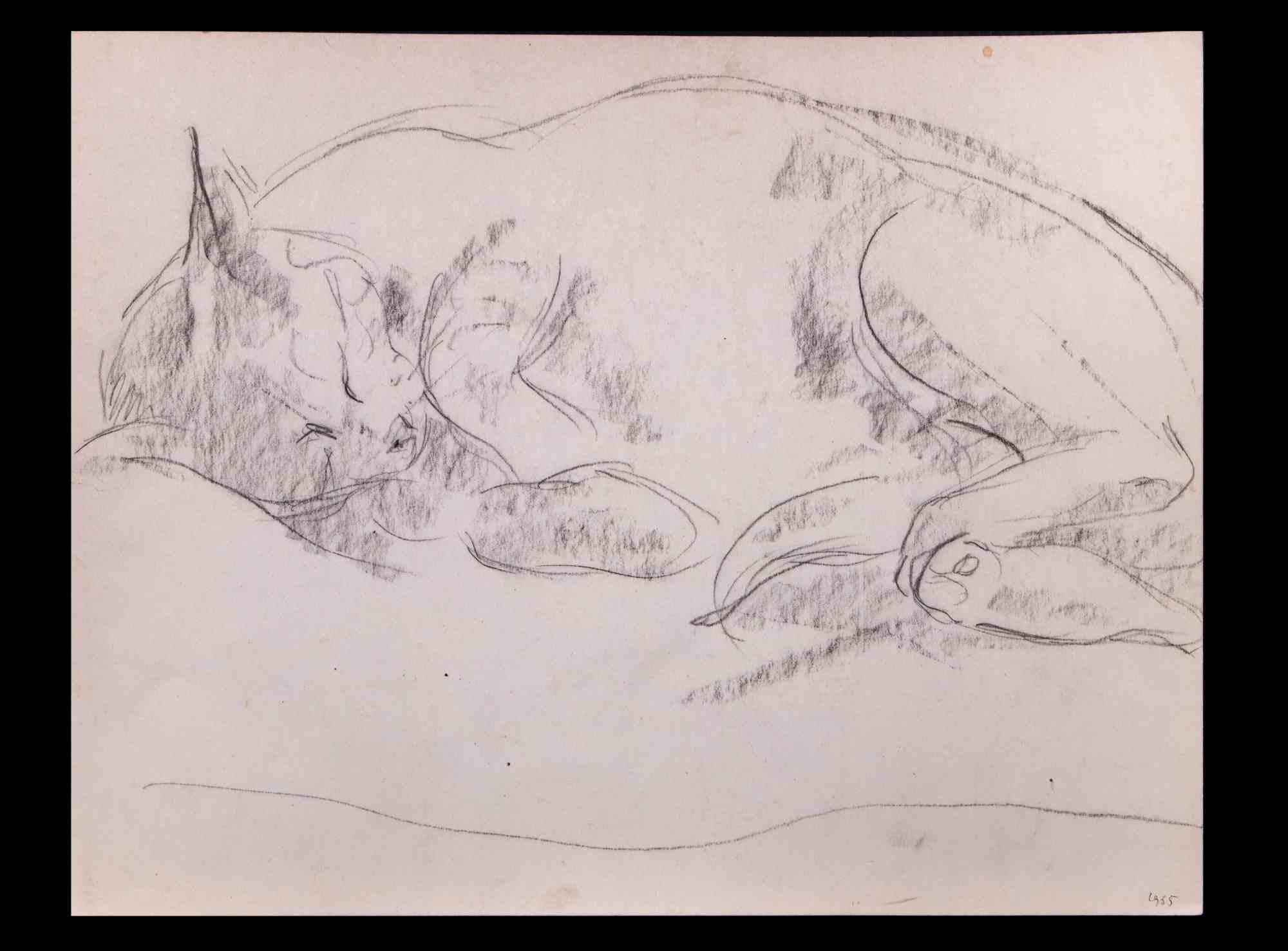 Sleeping Cat - Original Pencil Drawing by Giselle Halff - 1965