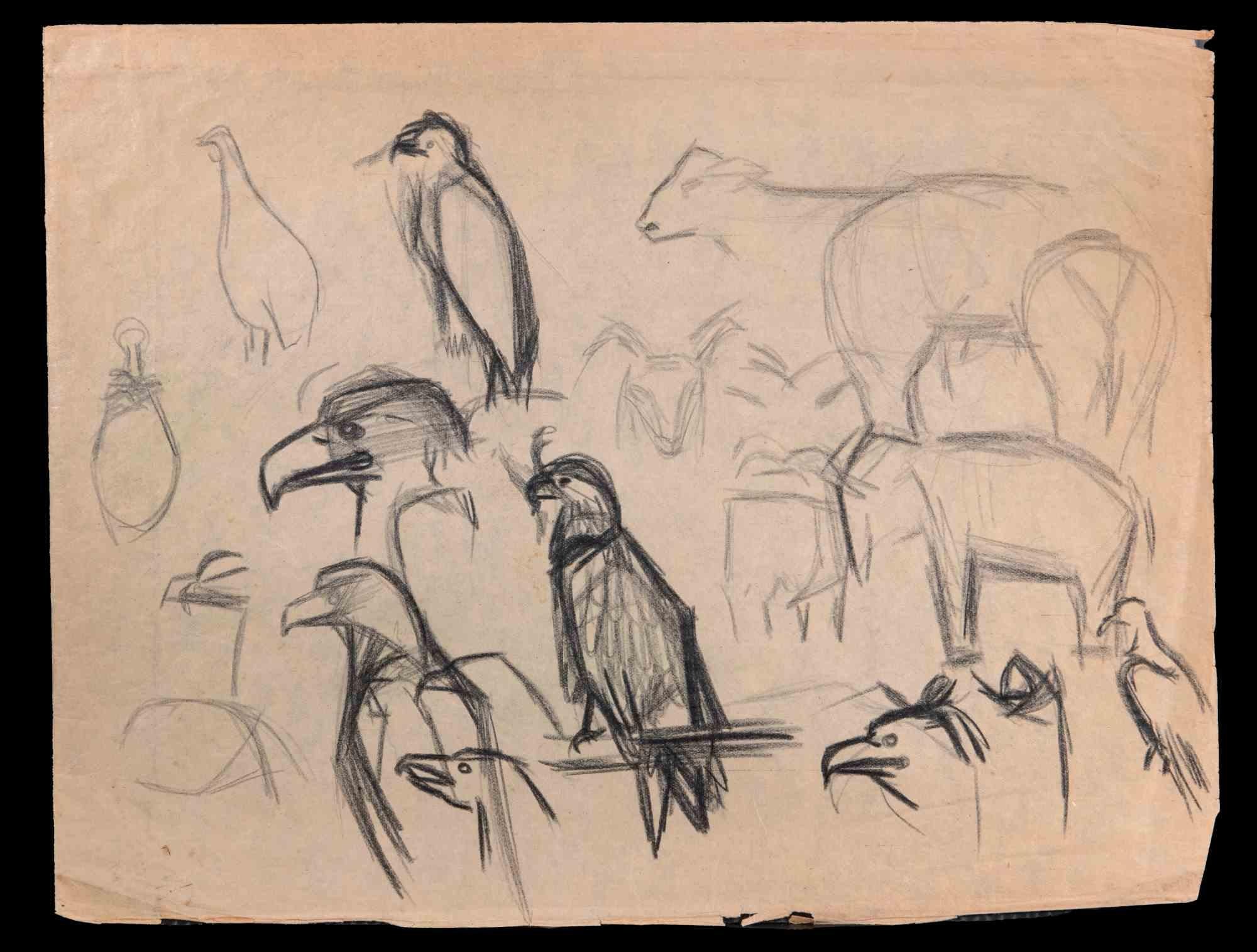 Unknown Figurative Art - Birds - Original Drawing - Early 20th Century