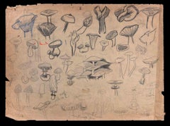 Magic Mushroom - Original Drawing - Early 20th Century