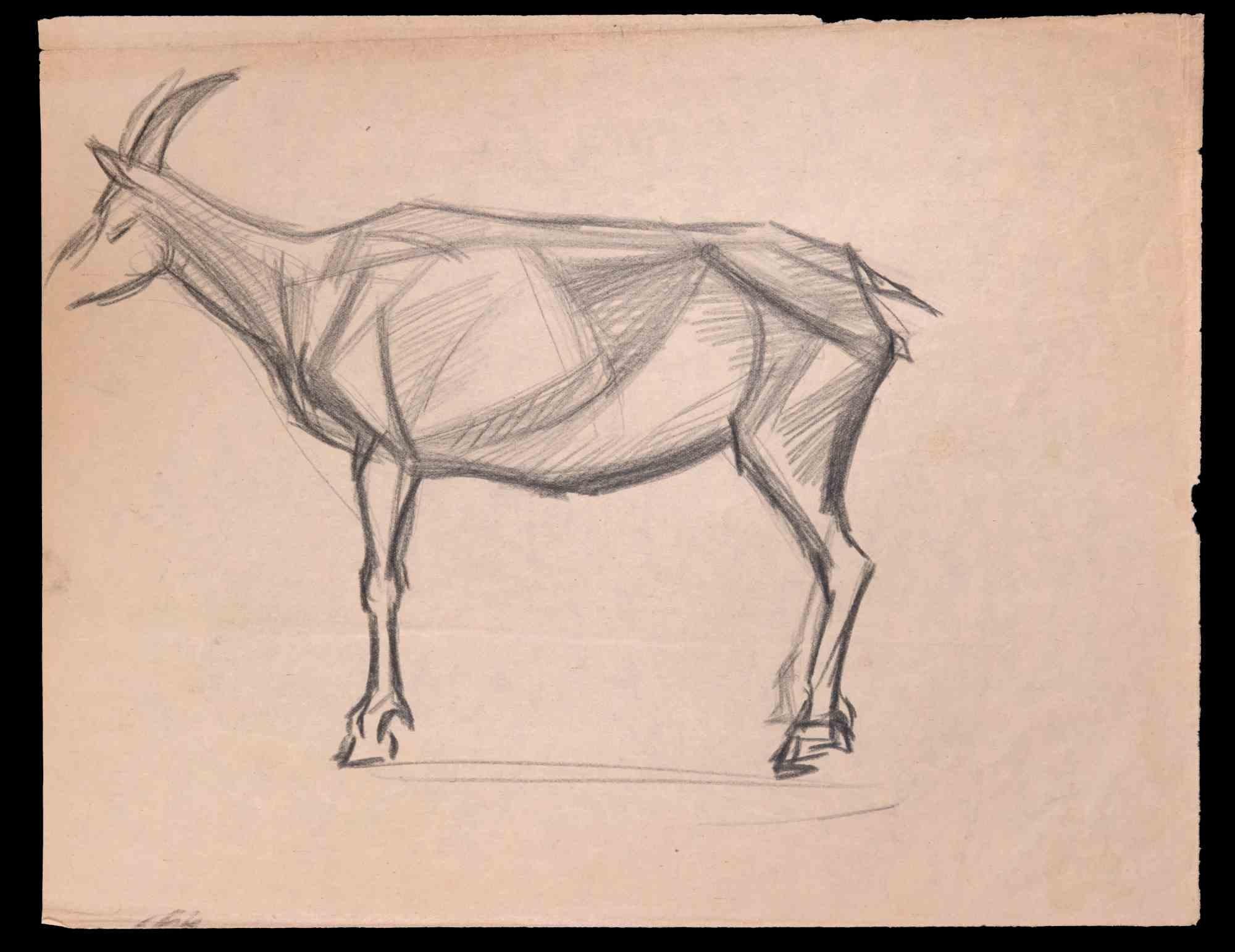 Unknown Figurative Art - The Goat - Original Drawing - Early 20th Century