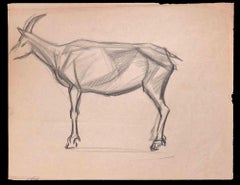 Antique The Goat - Original Drawing - Early 20th Century