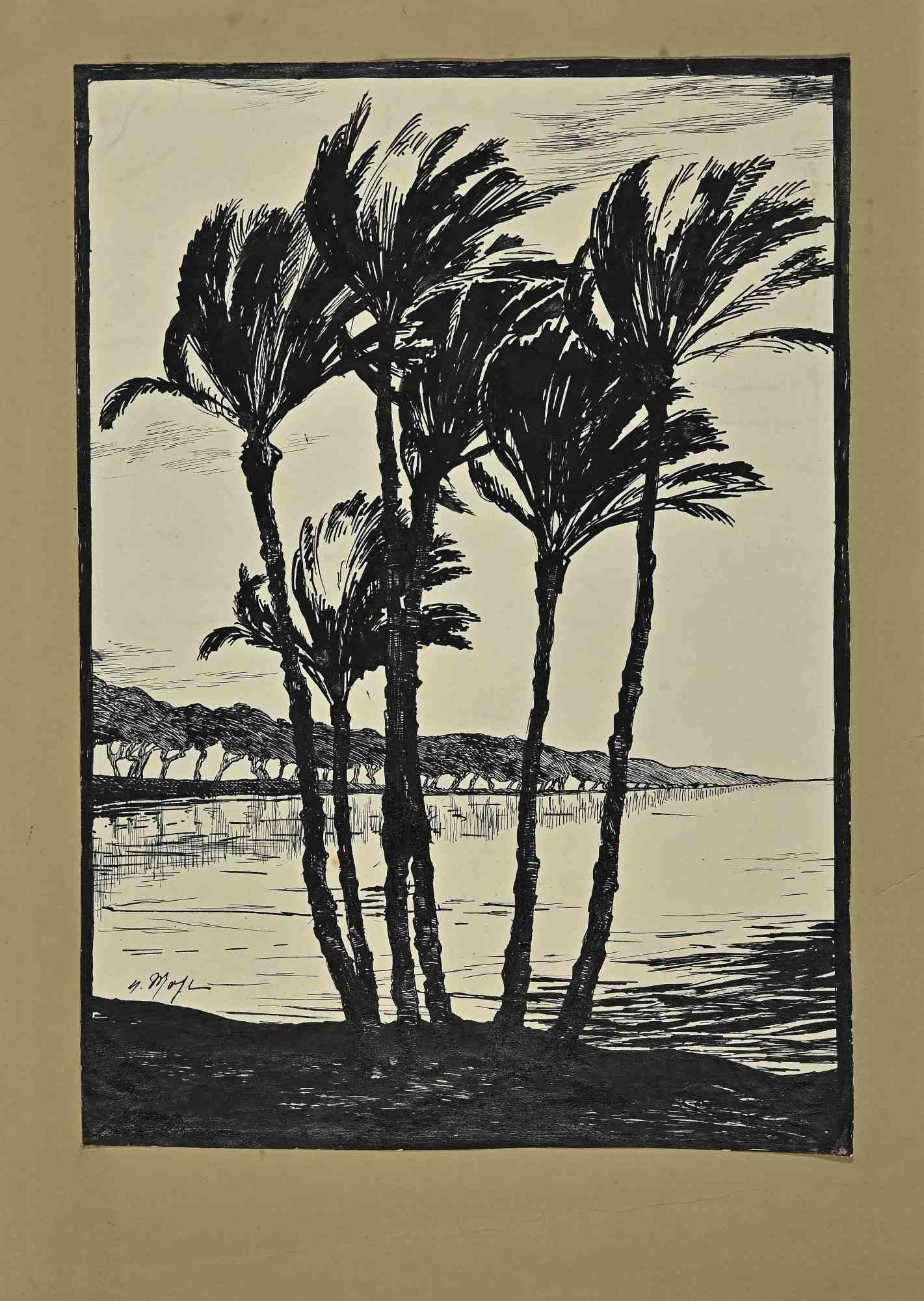 Landscape Art di Unknown - Palme -  Disegno - 1913