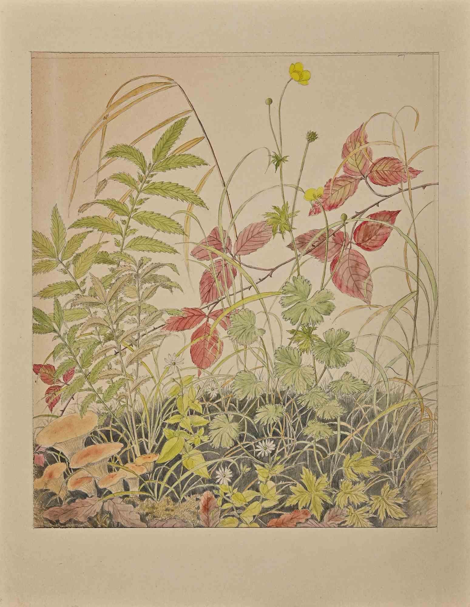 Blumen, Pflanzgefäße und Pilze – Zeichnung von A. G.Krohn-Mid 20. Jahrhundert