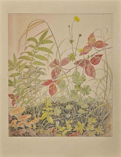 Retro Flowers, Plants and Mushrooms - Drawing by A. G.Krohn-Mid 20th century