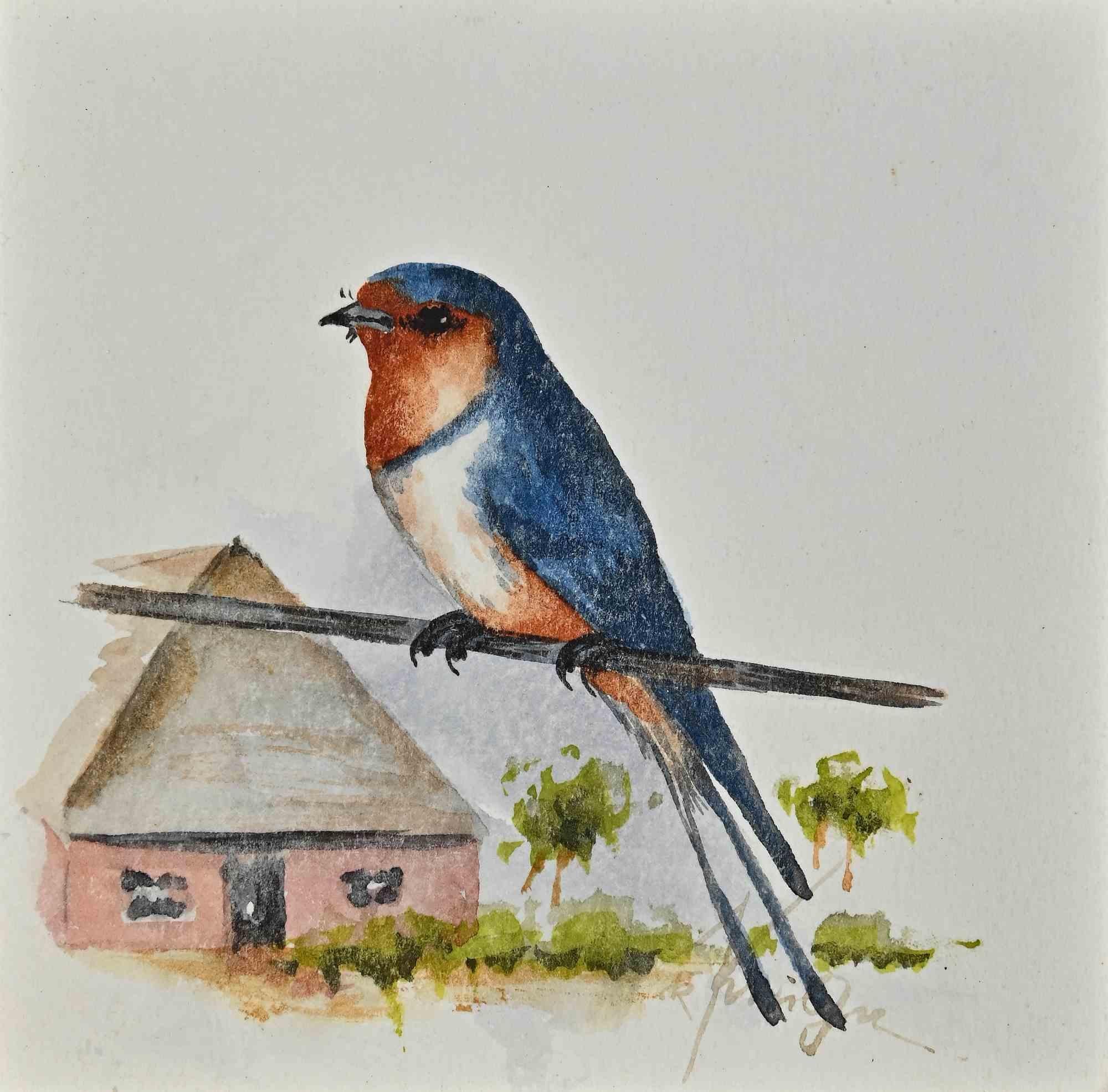 Unknown Animal Art - Bird -  Watercolor - 1970s