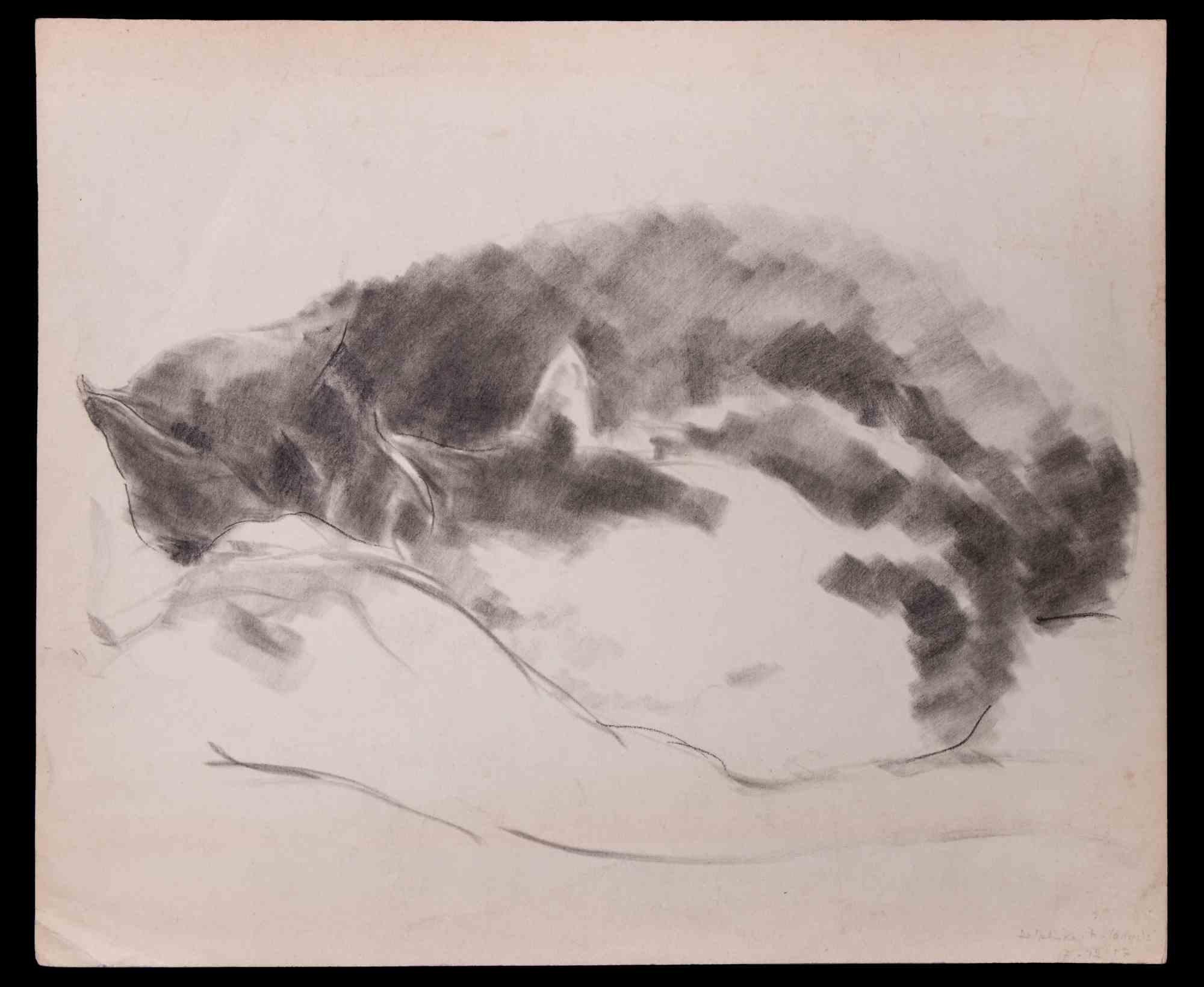 Des chats endormis - Dessin au crayon au carbone de Giselle Halff - 1957