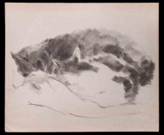 Sleeping Cats - Carbon Pencil Drawing by Giselle Halff - 1957