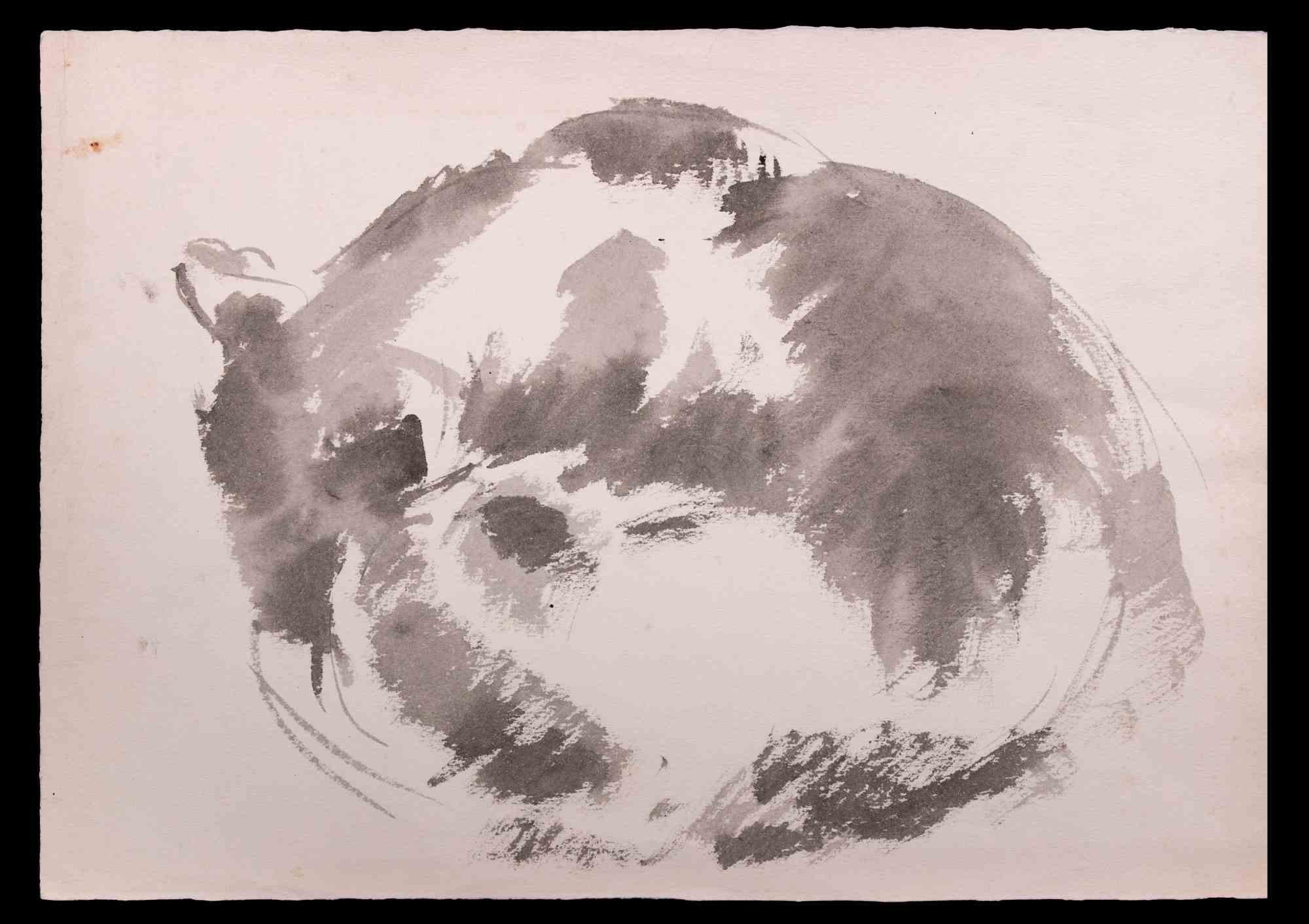 Sleeping Cat - Carbon Pencil and Watercolor by Giselle Halff - 1960